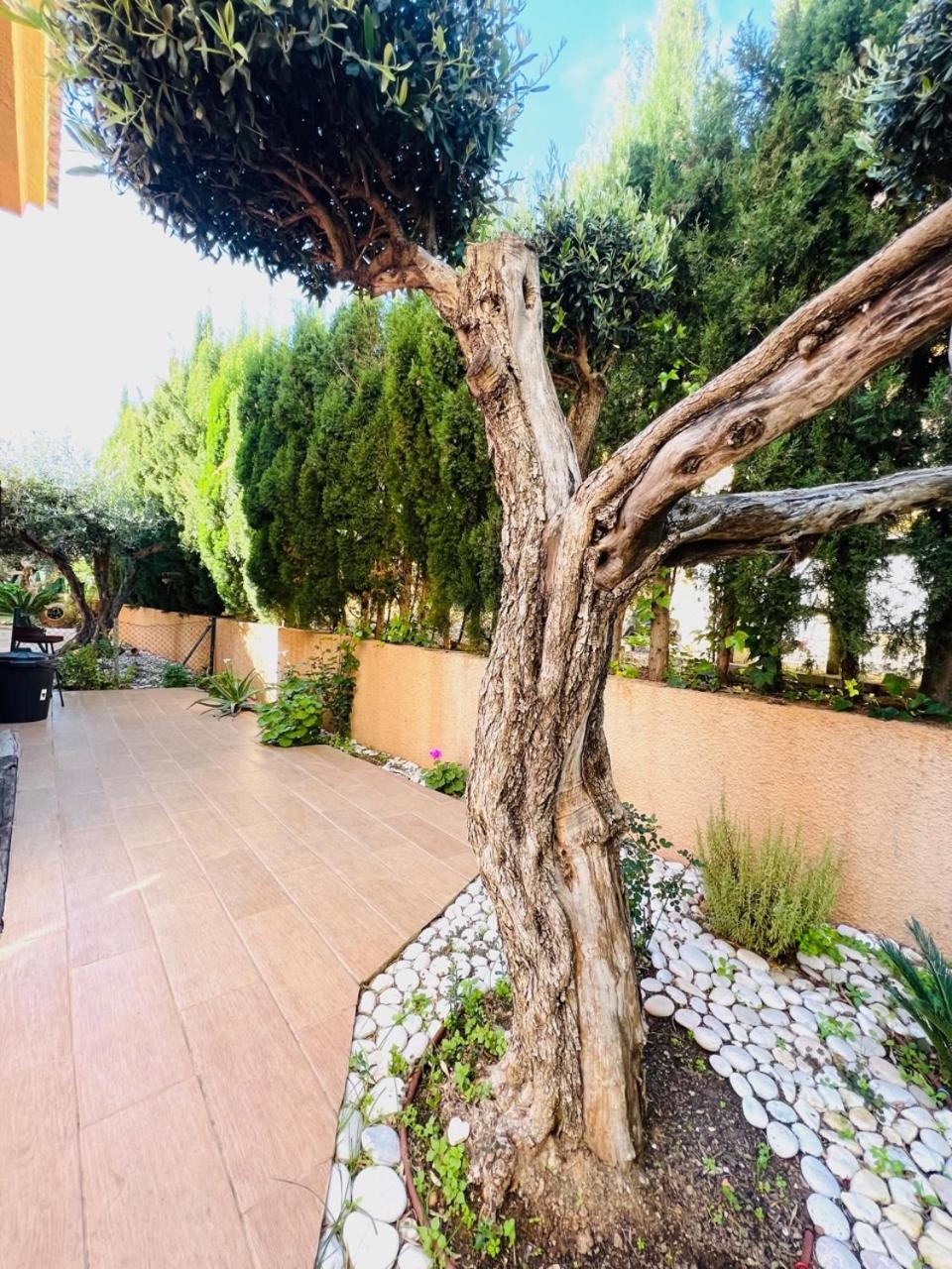 Chalet Boutique Estíbaliz