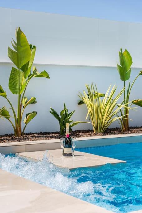 Luxury Villa Pilar De La Horadada