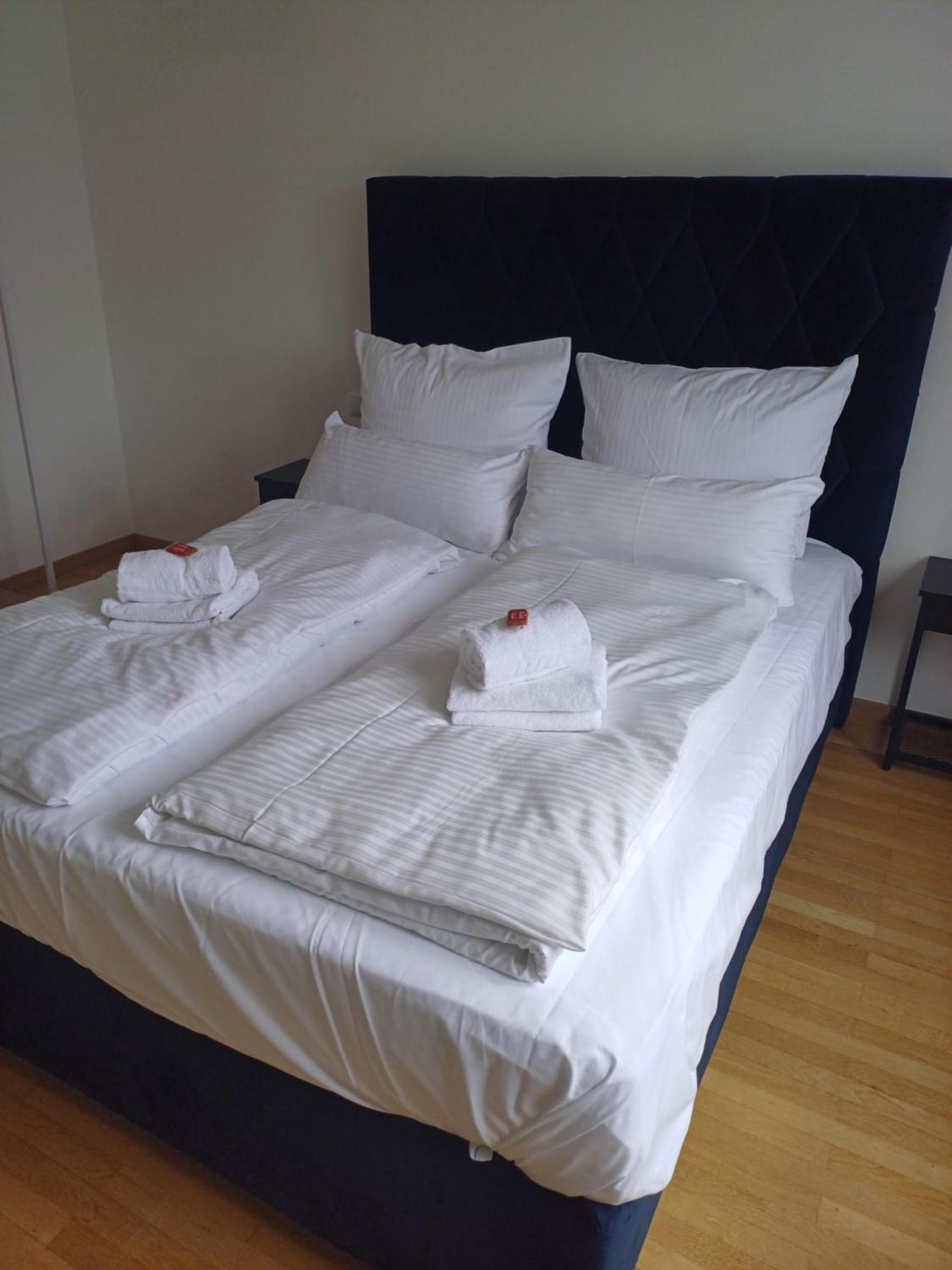 CROWN LIVING Design Apartment Mäder - Ideal für Feriengäste und Geschäftsreisende, gratis Parkplatz, Fahrrad- und Skiraum, Küche, Self Check-in