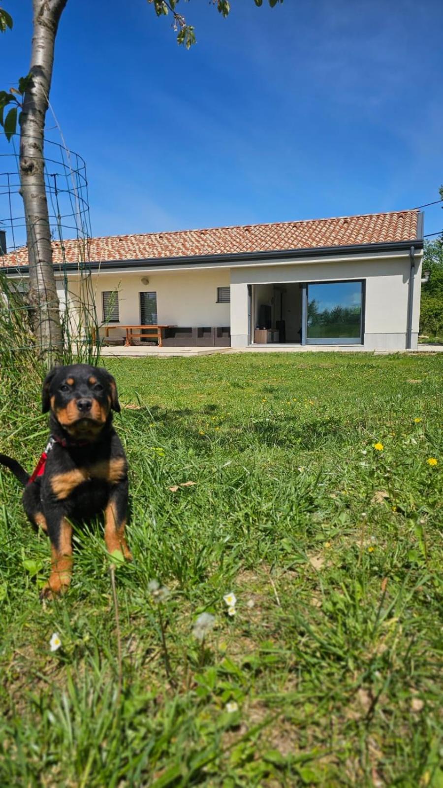 Capo House