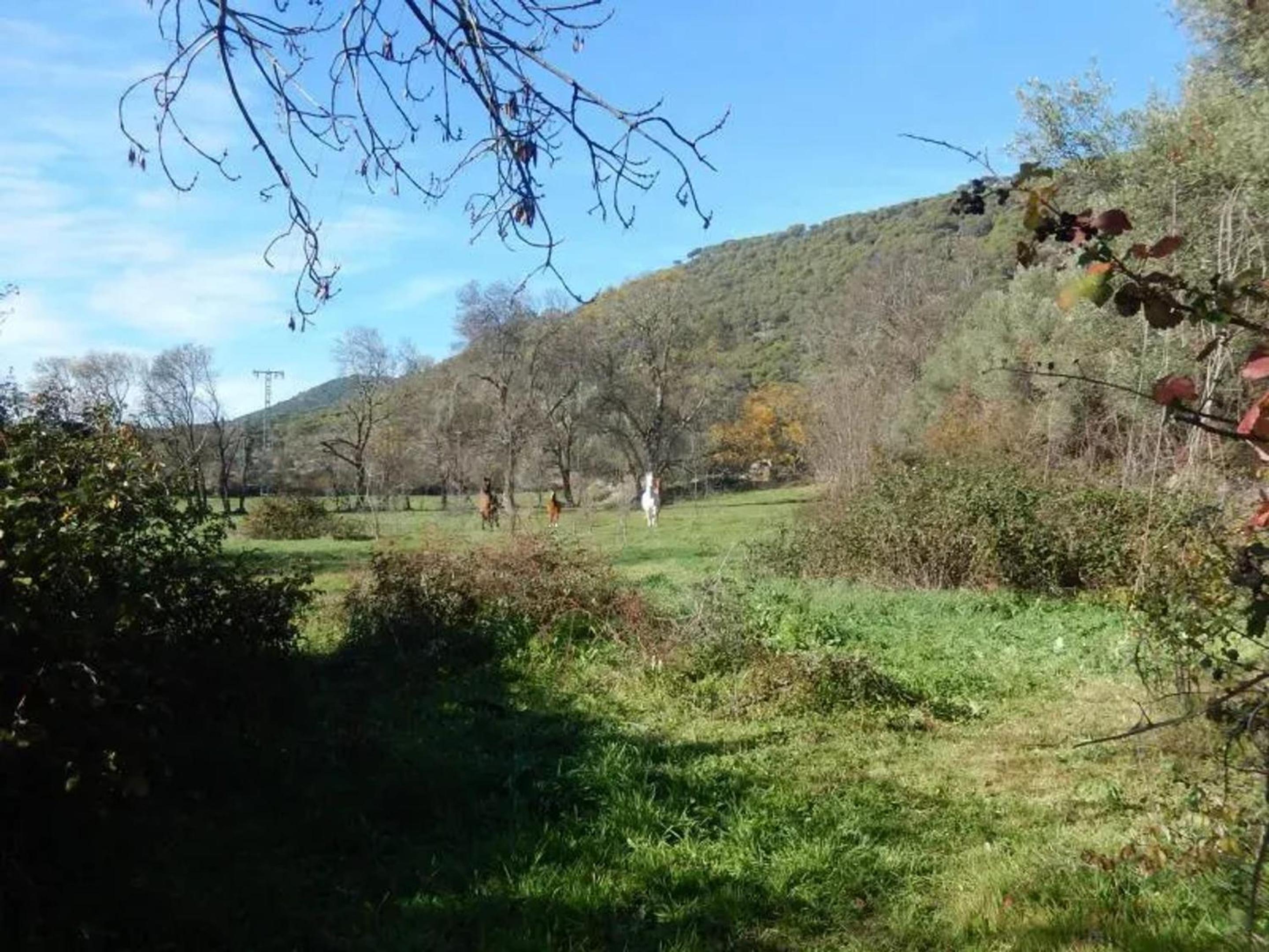 Spacious house in Cenicientos with mountain view