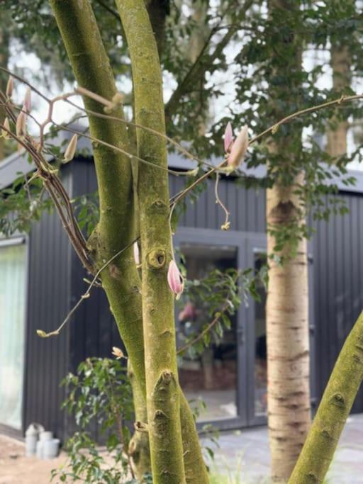Veluwe Boutique Lodge
