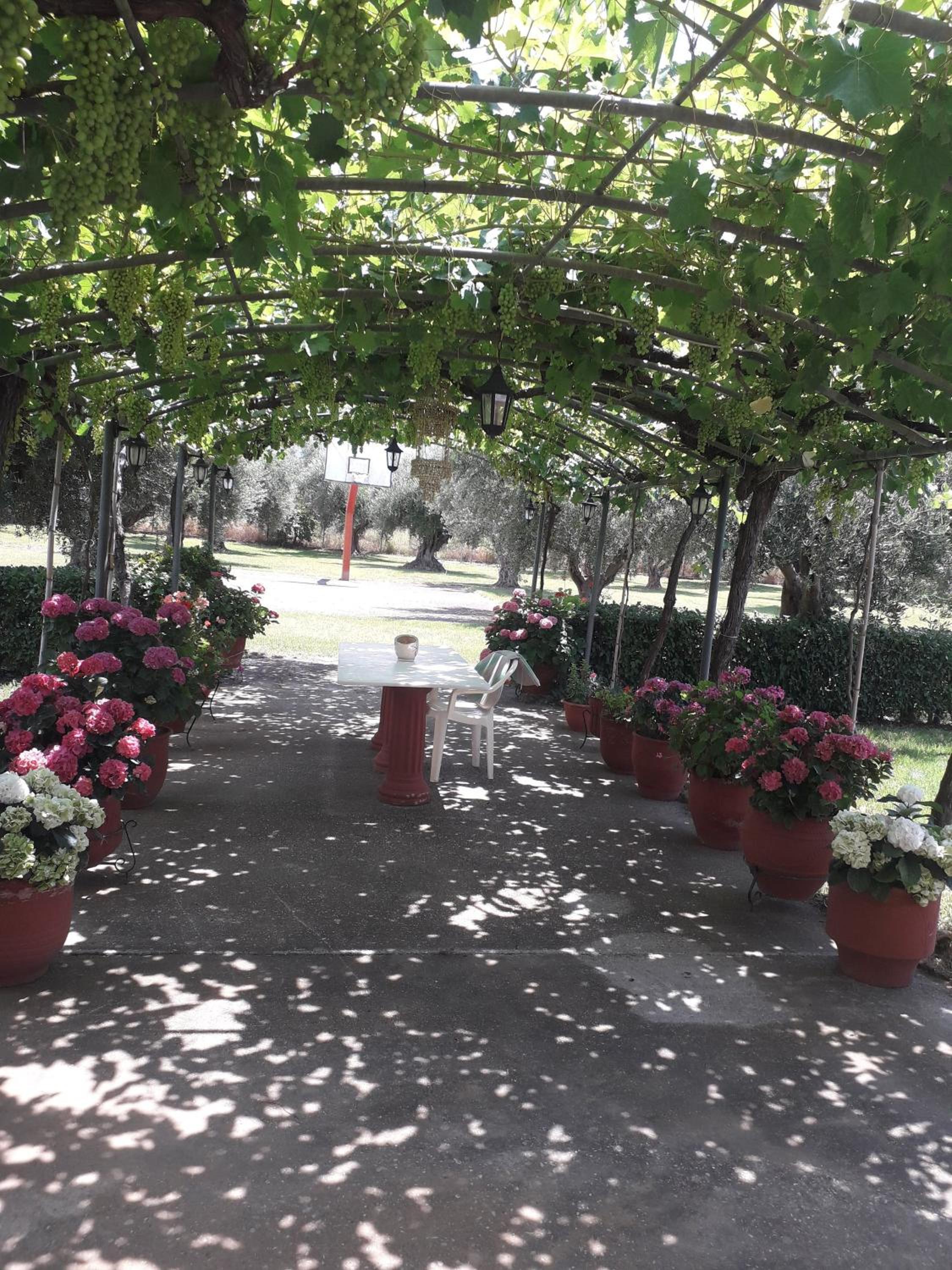 Photo 16
