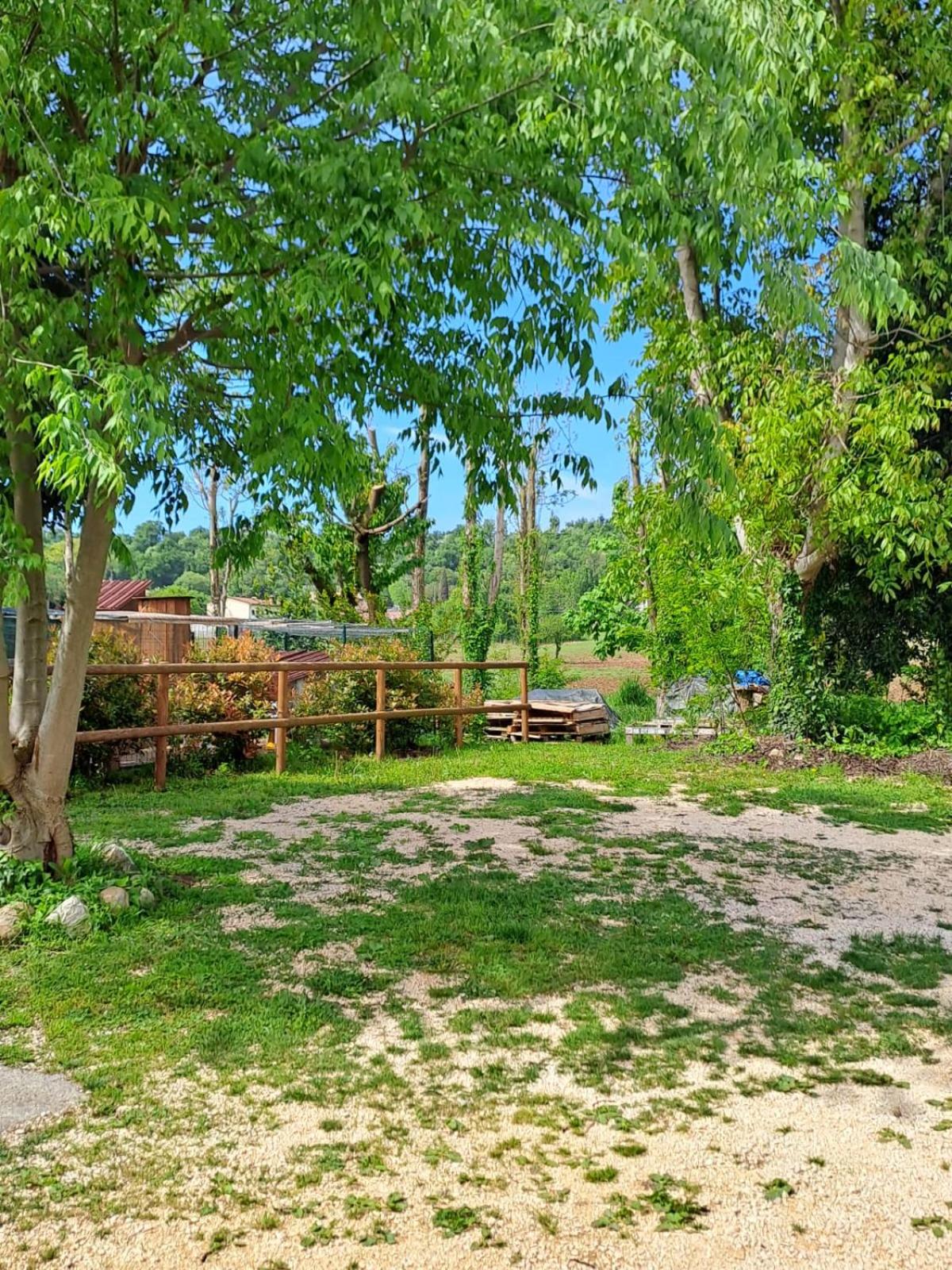 Photo 45