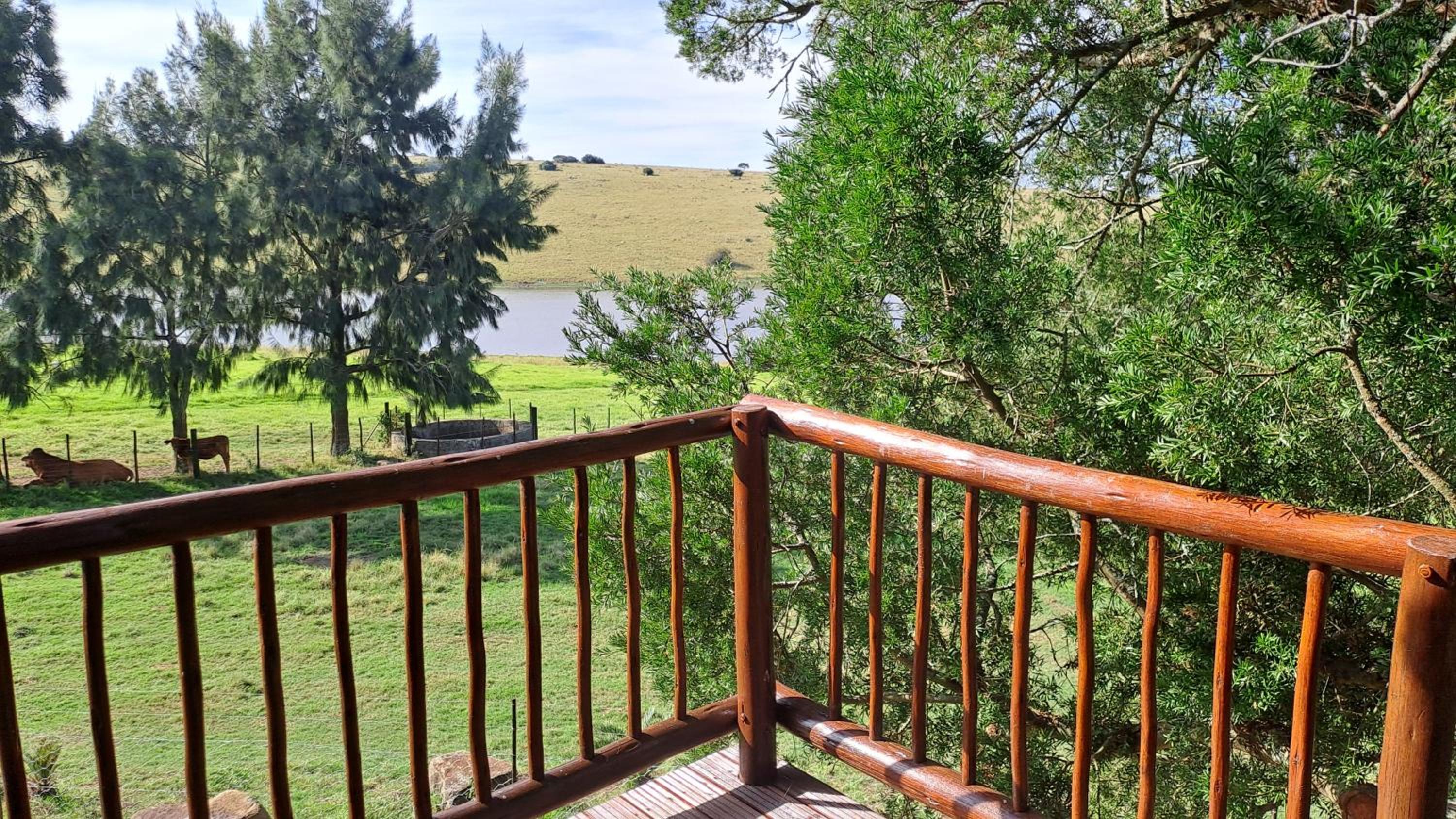 The cottage view 2