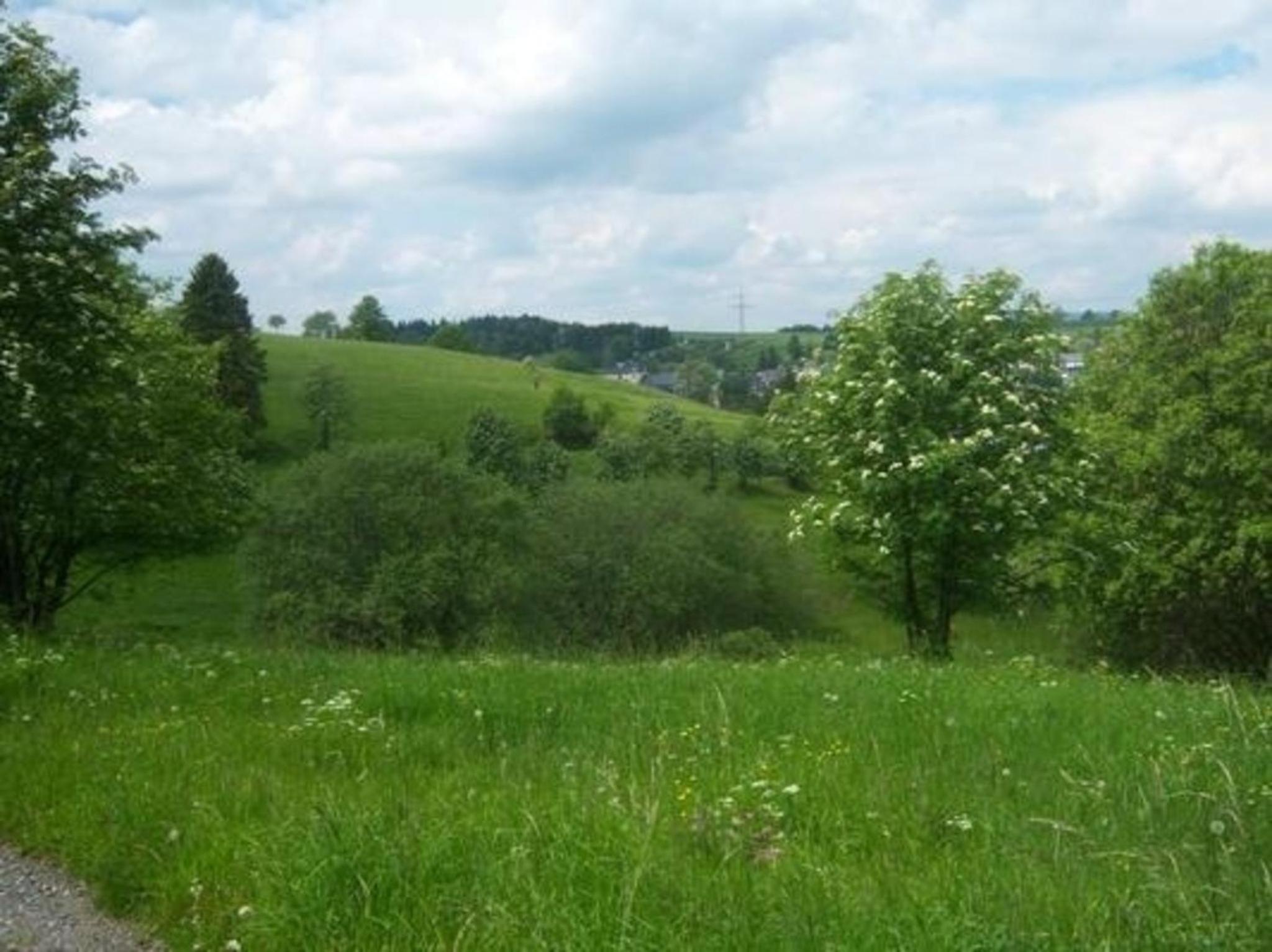 Ferienhaus in OberweißbachThüringer Wald mit Grill und Garten