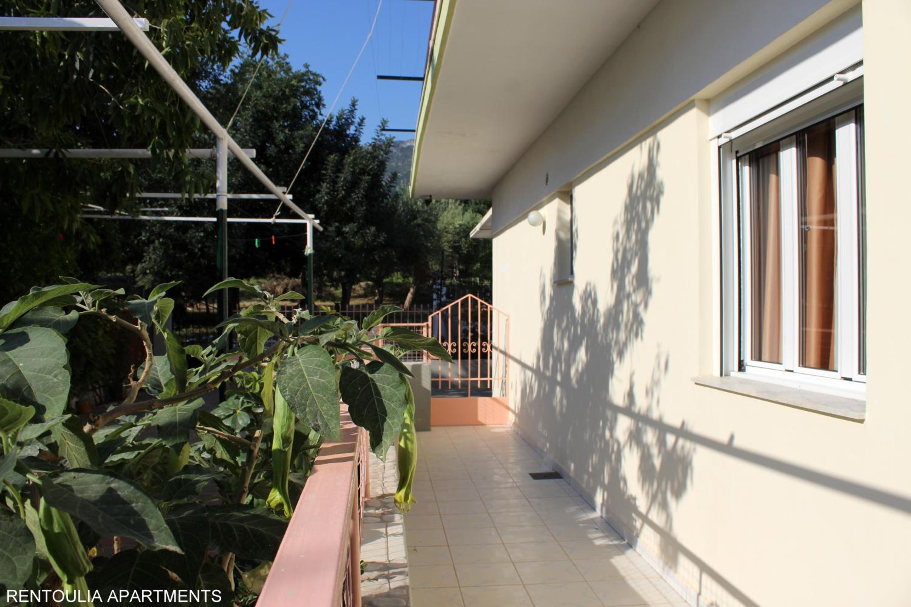Photo 40
