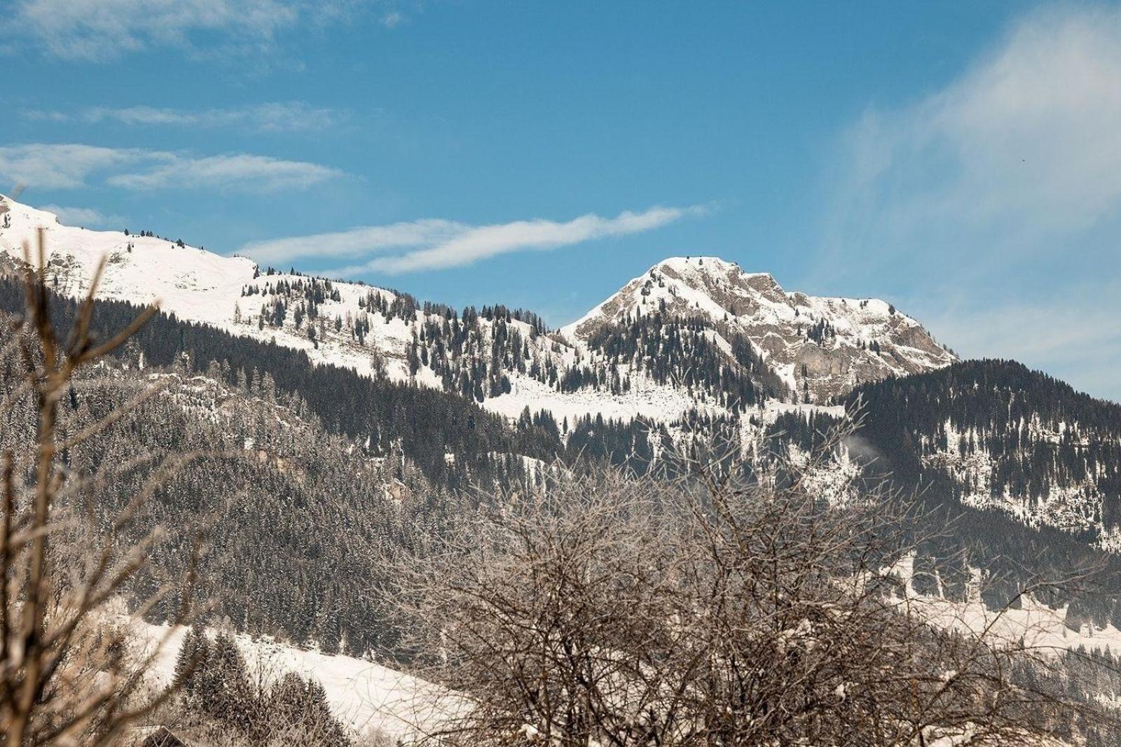 Birnbaum Chalet Kreuzkogel mit Naturbadesee und eingezäunten Garten