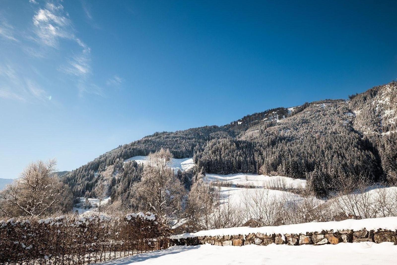 Birnbaum Chalet Kreuzkogel mit Naturbadesee und eingezäunten Garten