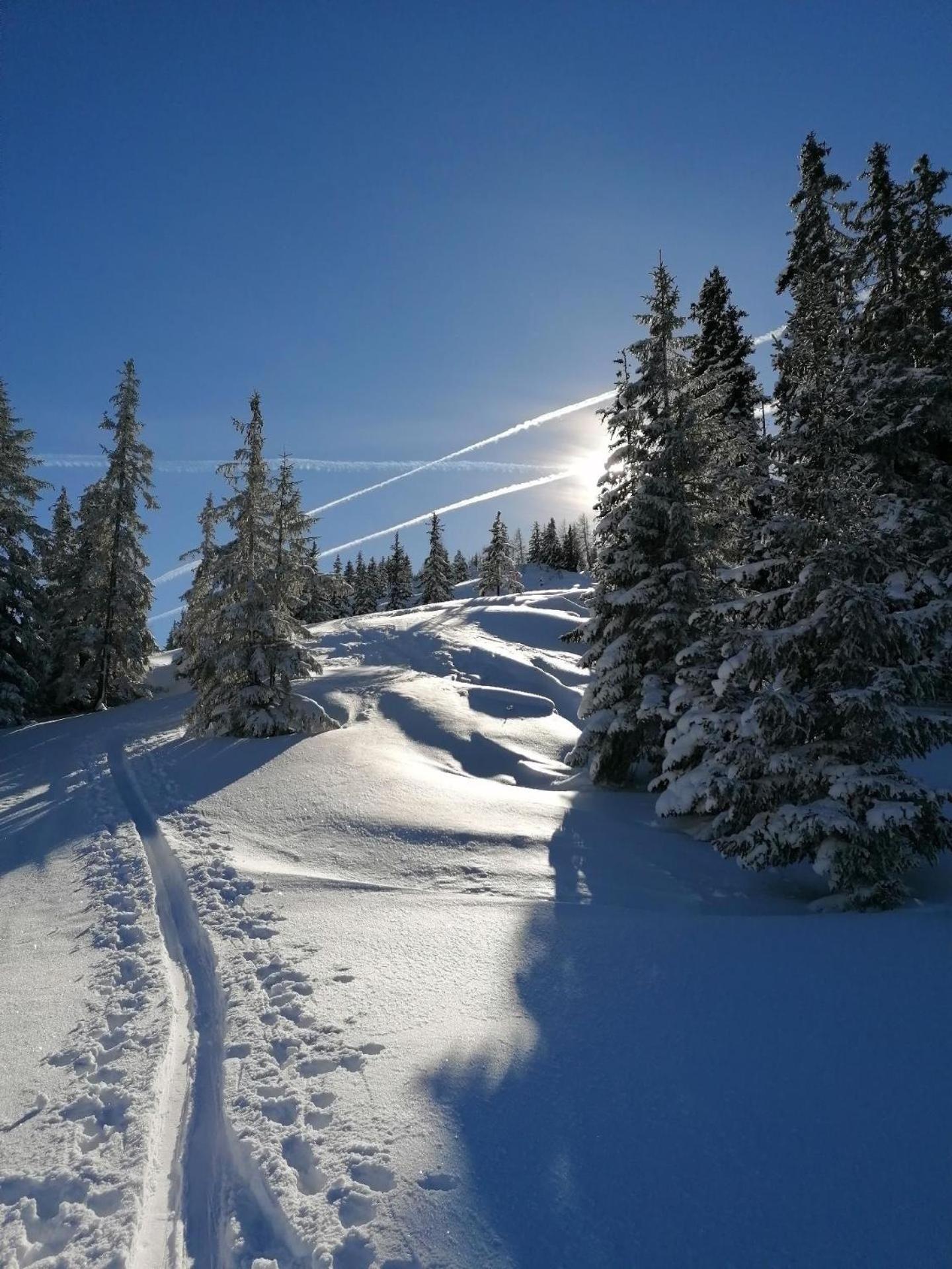 Birnbaum Chalet Kreuzkogel mit Naturbadesee und eingezäunten Garten