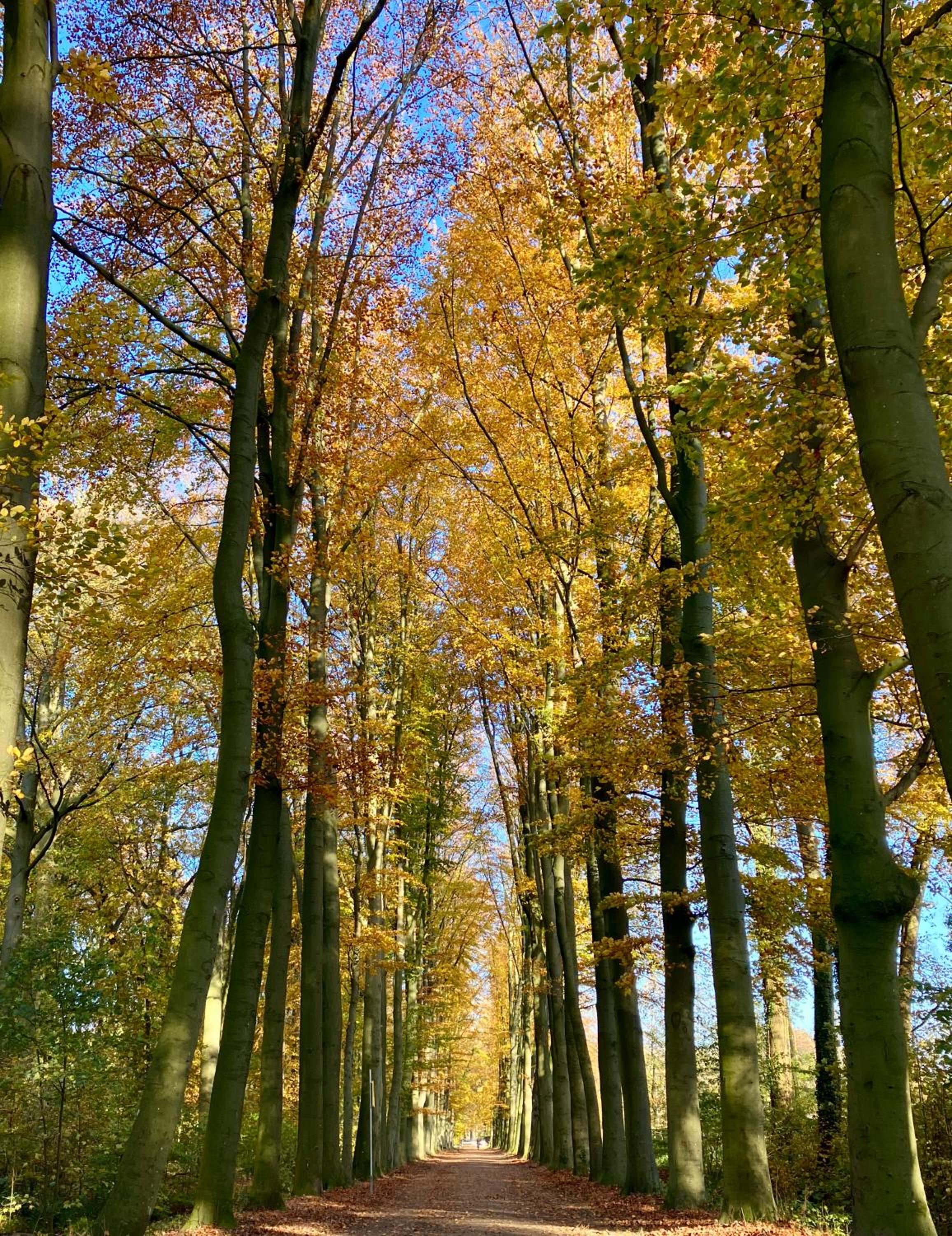 Waerdenhoeve