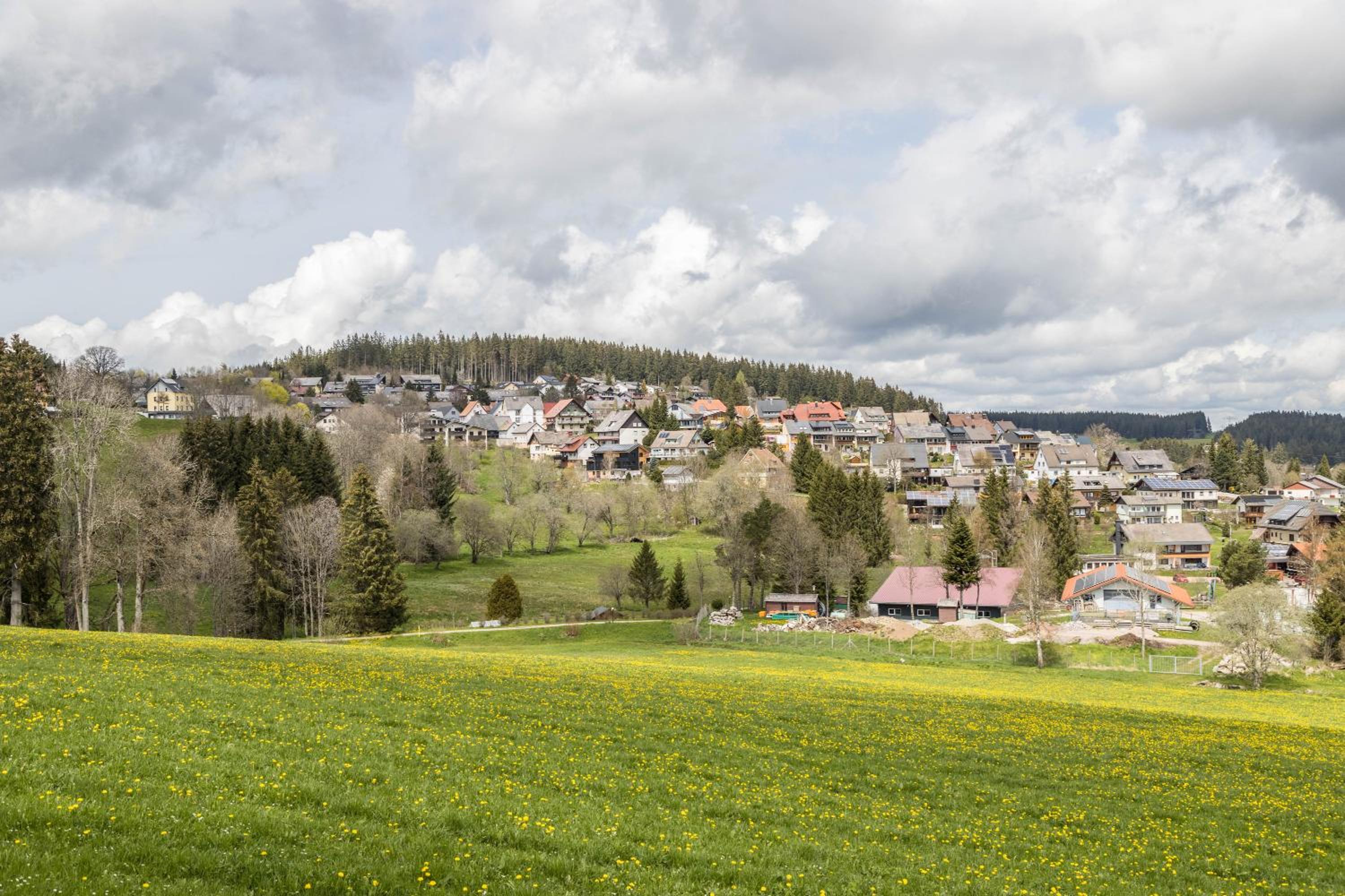 Behagliche Wohnung Hüfingen