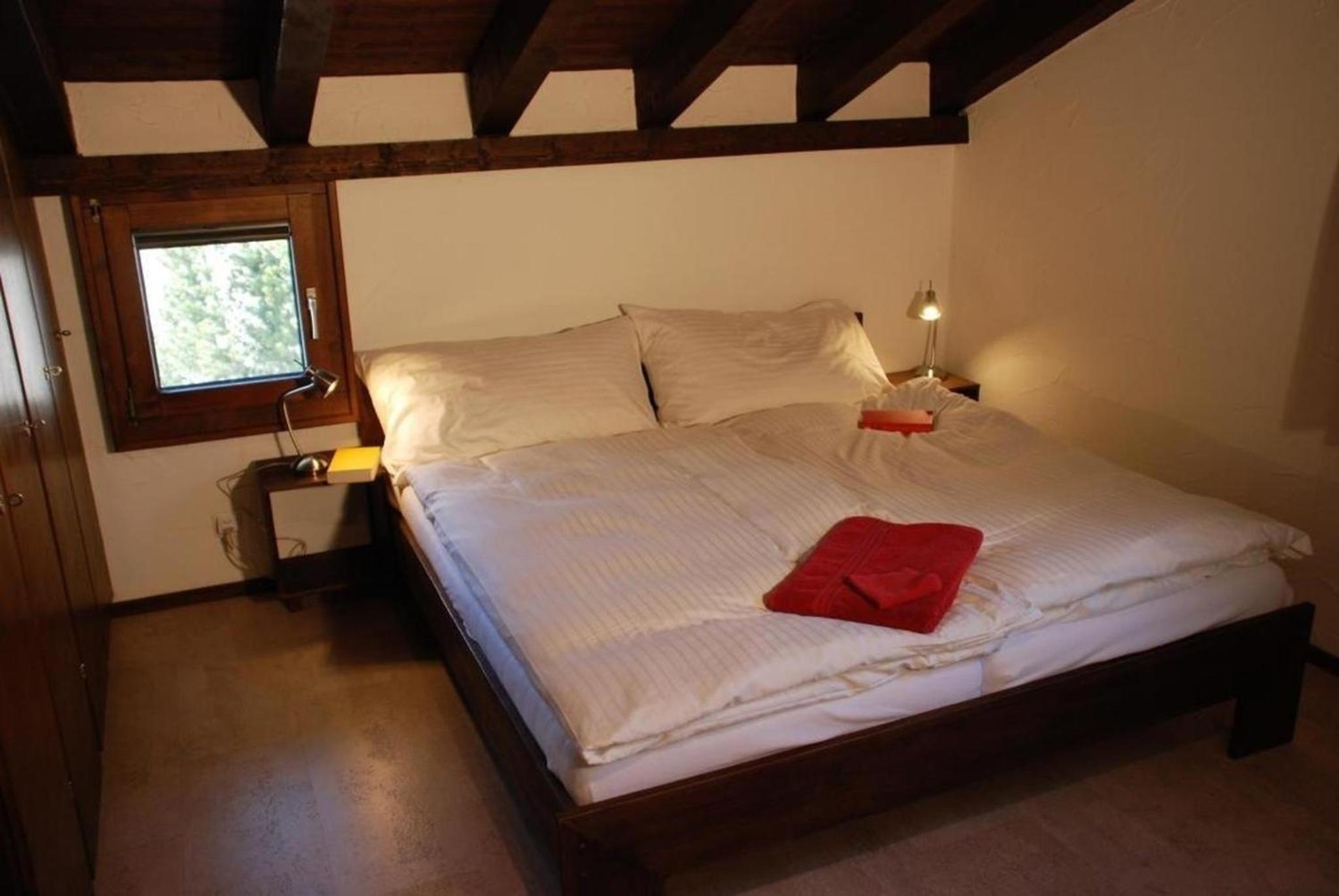 Arnica 4