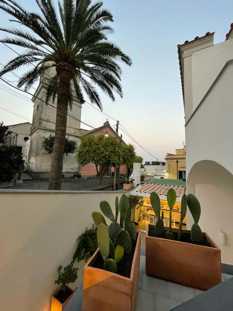 Nerano Casa Adelaide