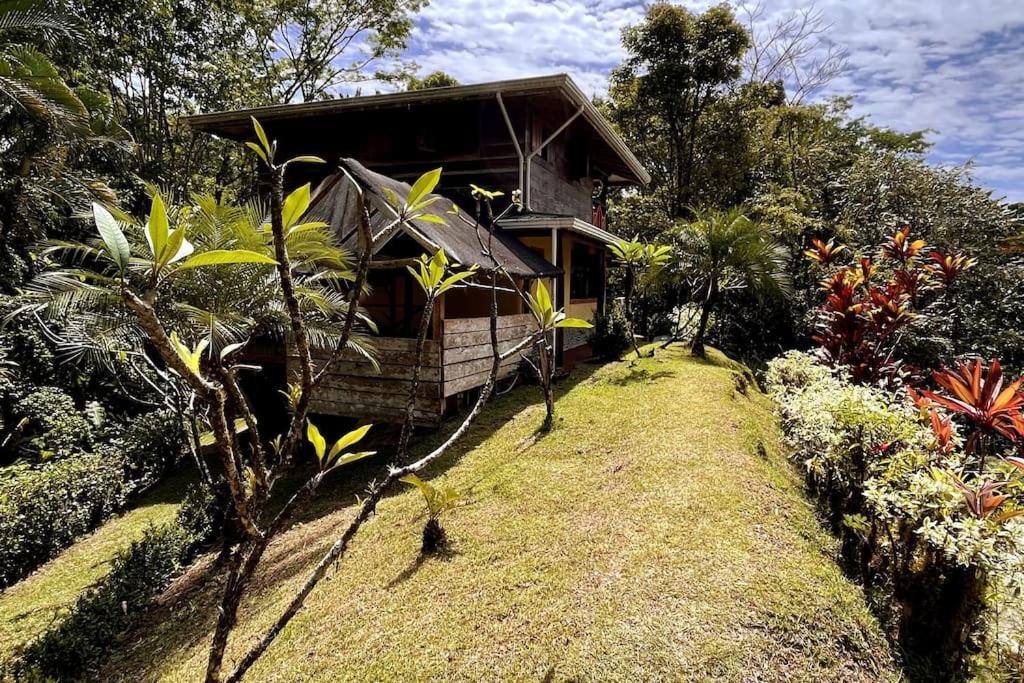 Casa’ Mapola : typical jungle beach house