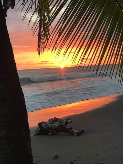 Casa’ Mapola : typical jungle beach house