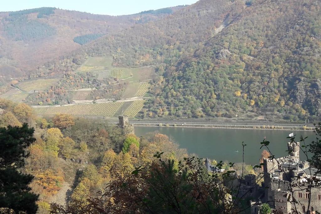 Gemütliches Häuschen mit Innenhof - Longstay