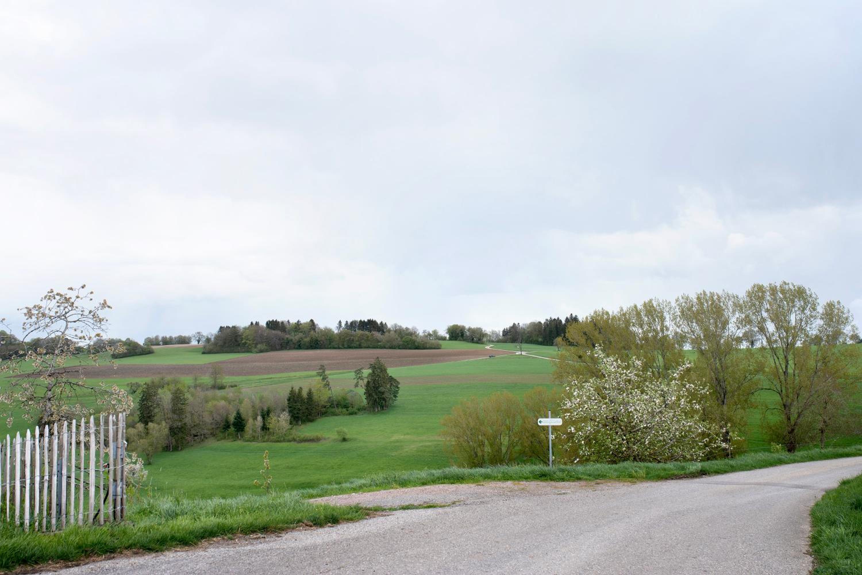 Fernblick