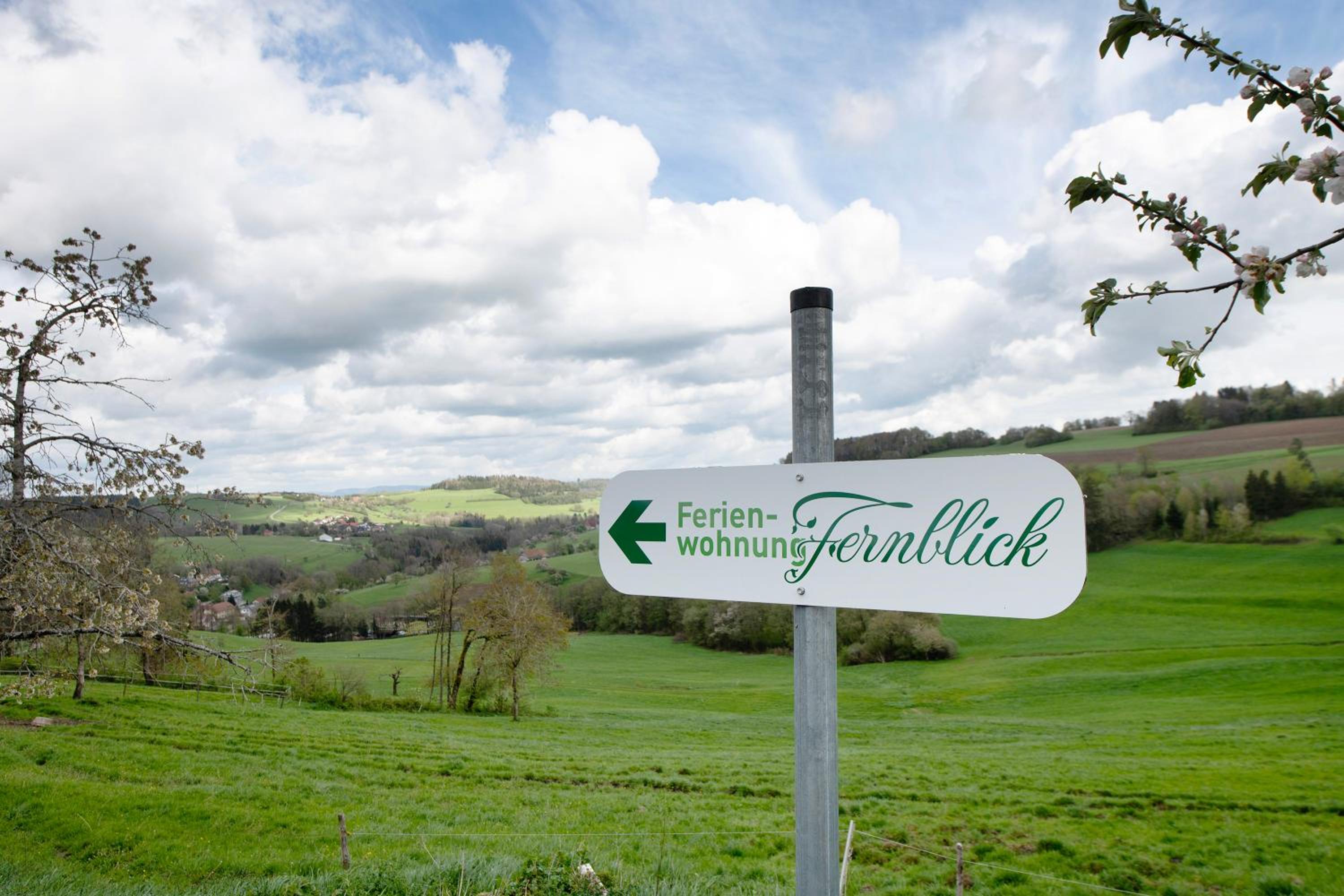 Fernblick