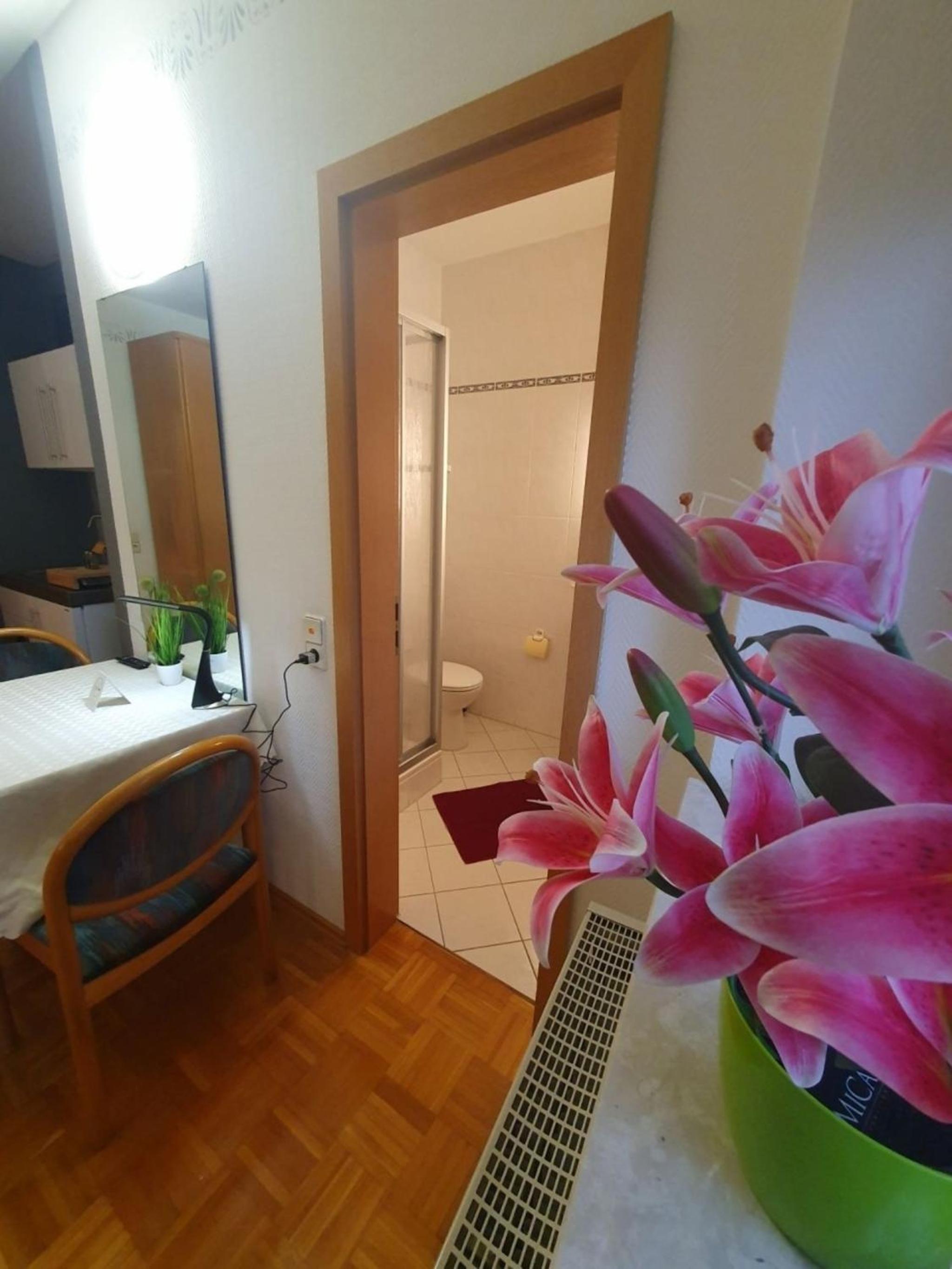 ABM Apartment 12 view 2