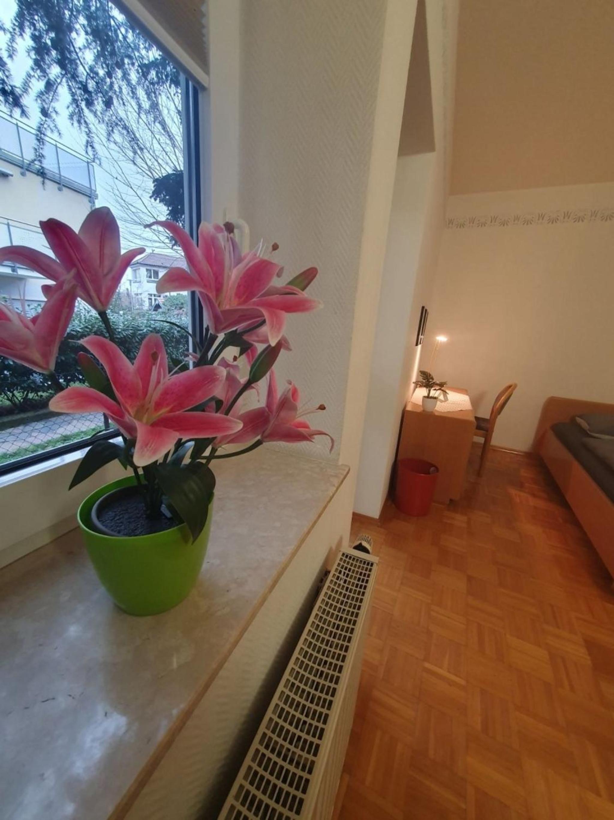 ABM Apartment 12 view 5