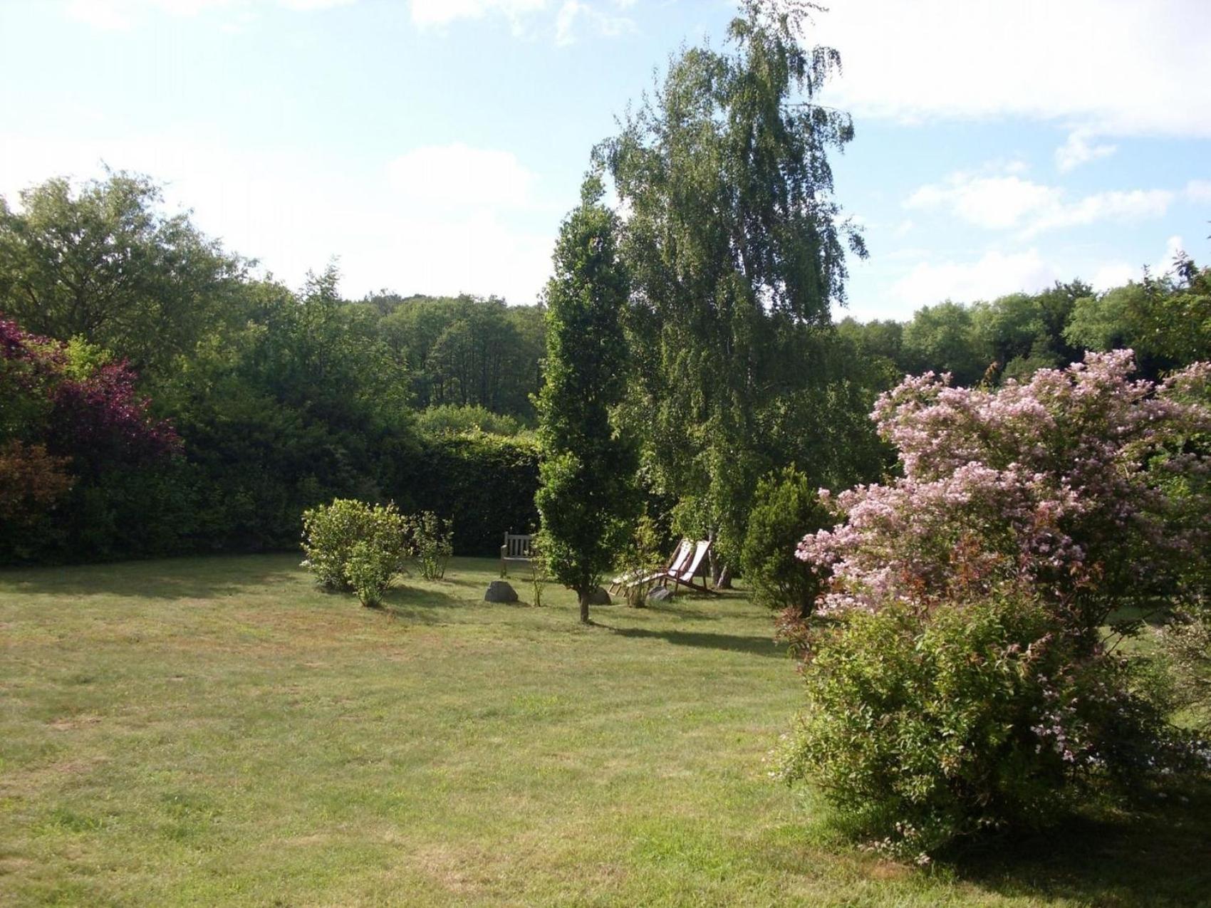 Reetdach - Ferienwohnung " Spann mol ut " bei Binz view 5
