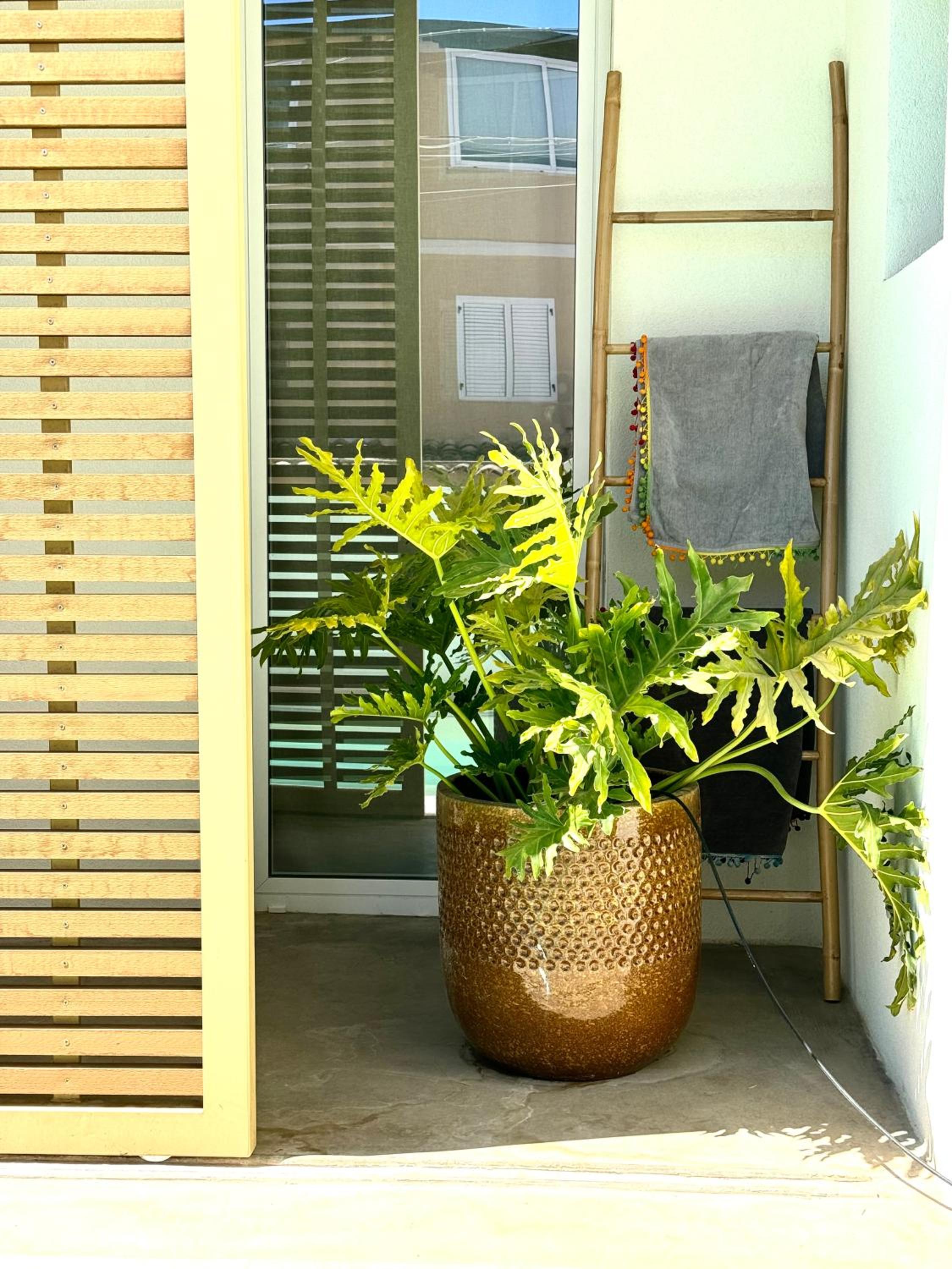 Casa di design con mini-pool photo 3