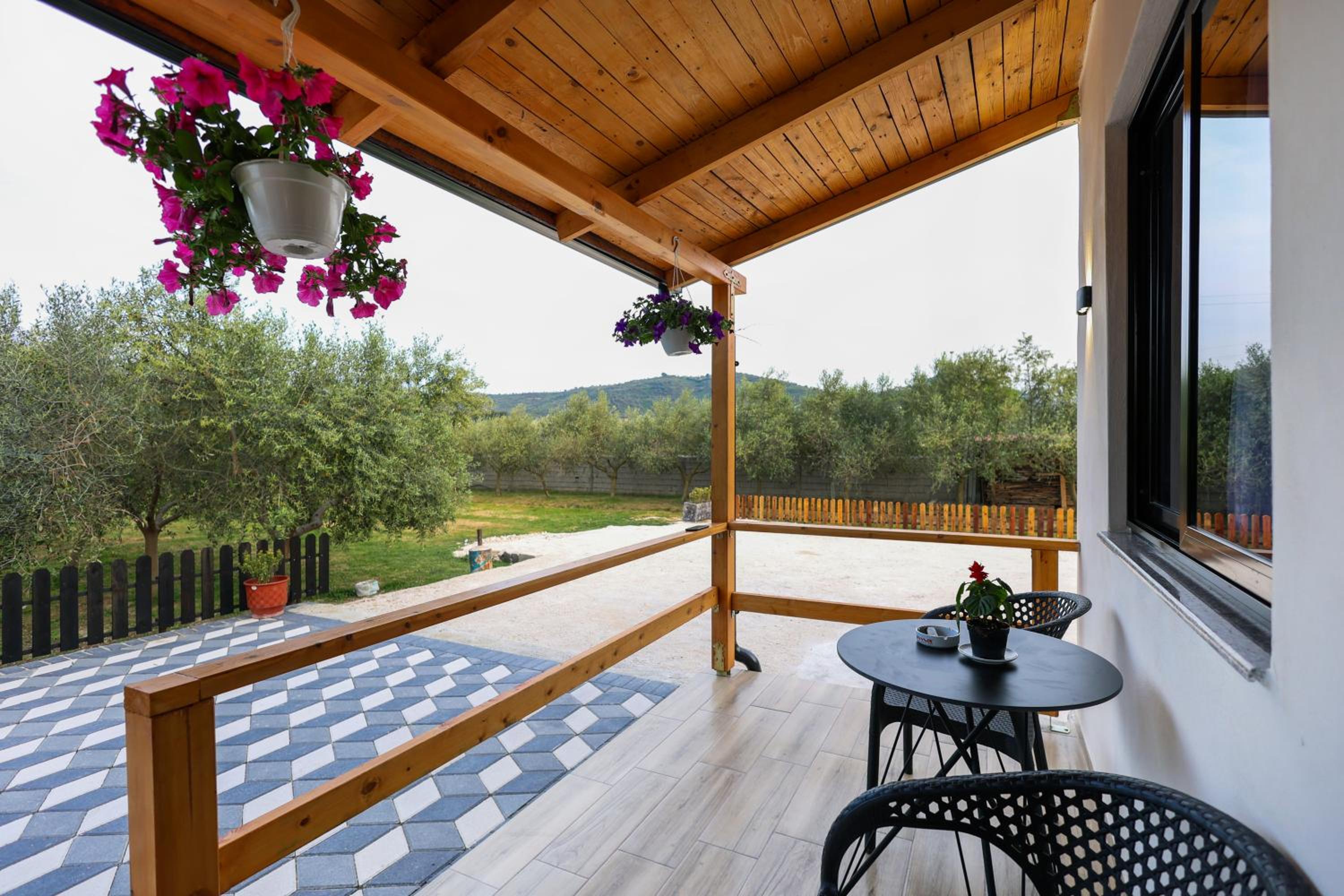 Olive Oasis Studio