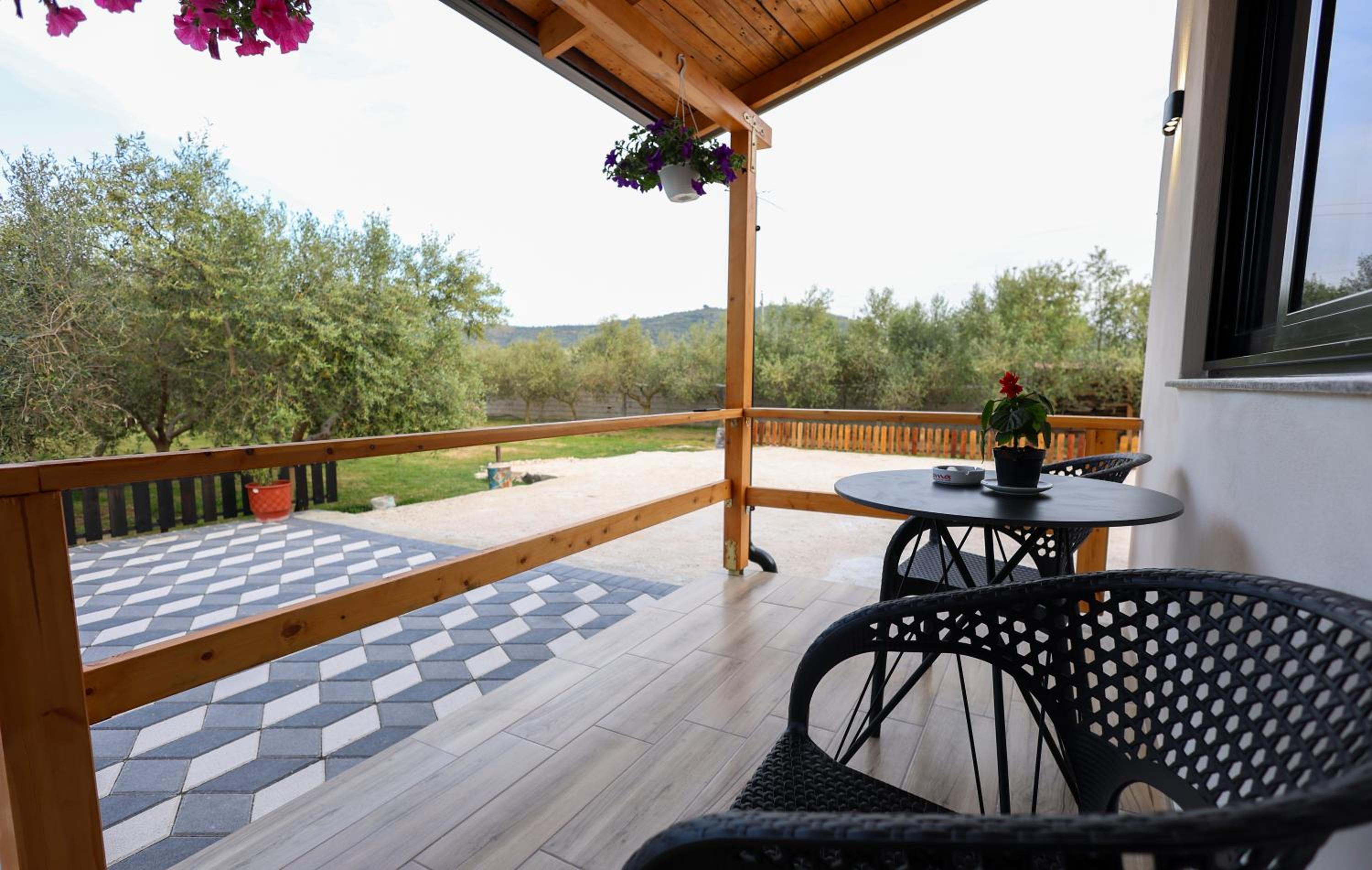 Olive Oasis Studio