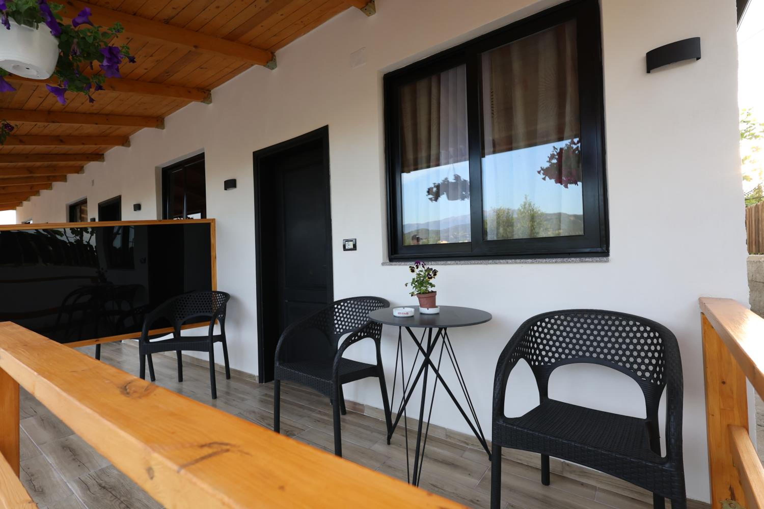 Olive Oasis Studio