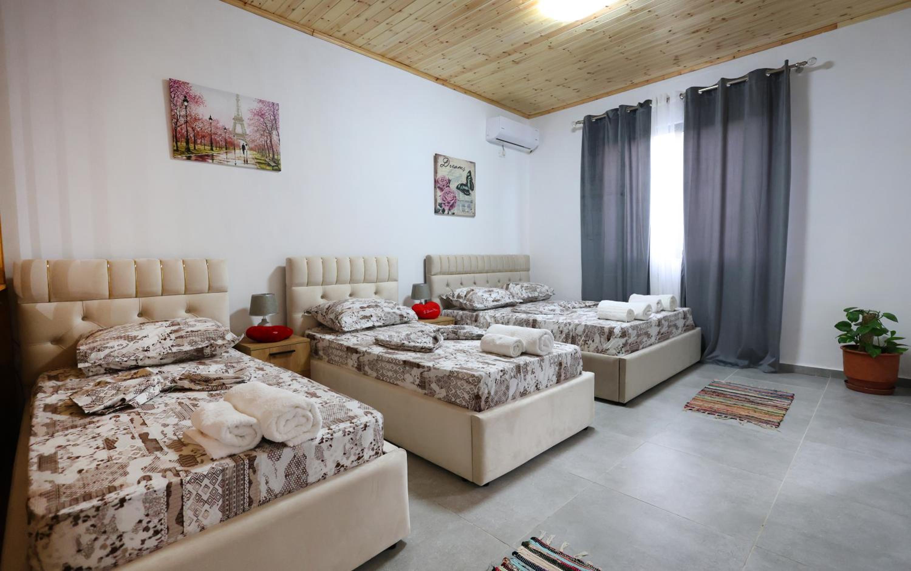 Olive Oasis Studio