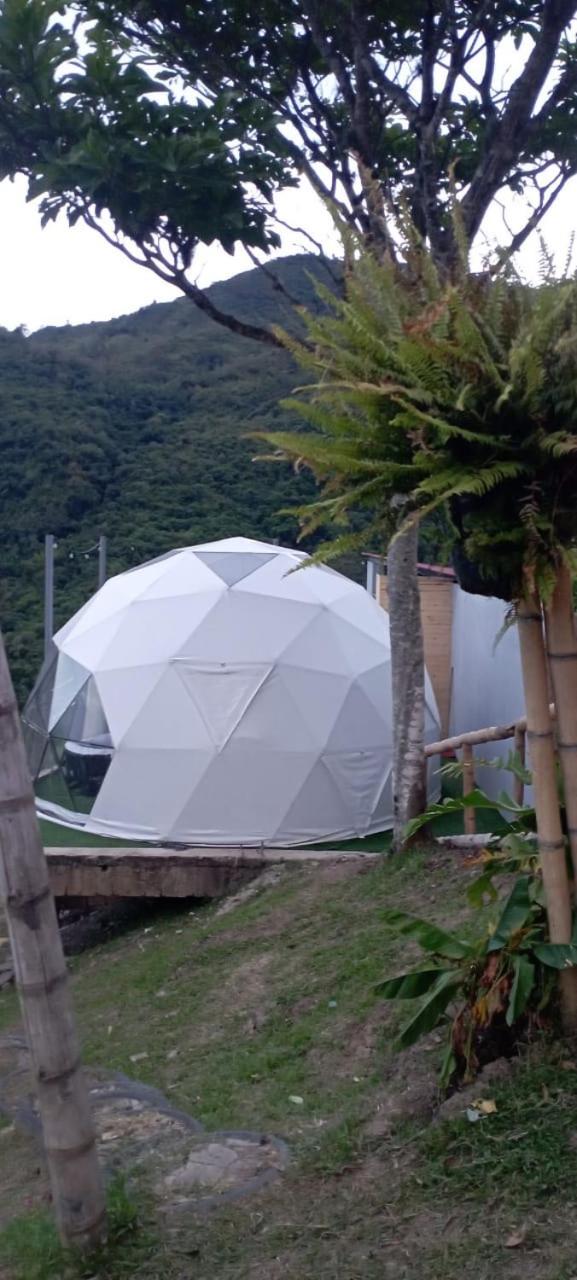 GLAMPING DOMO VILLETA