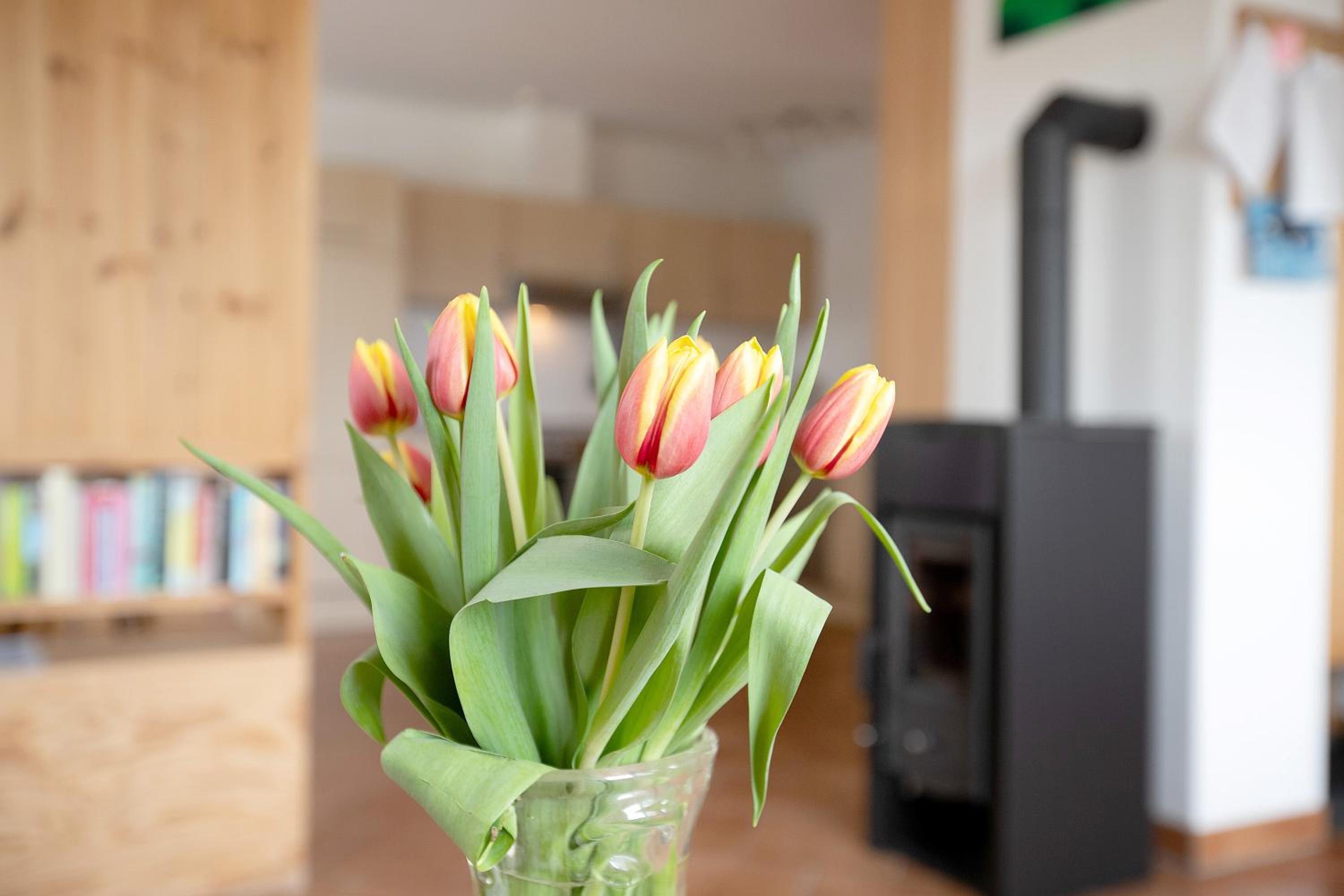 Ferienwohnung Coni