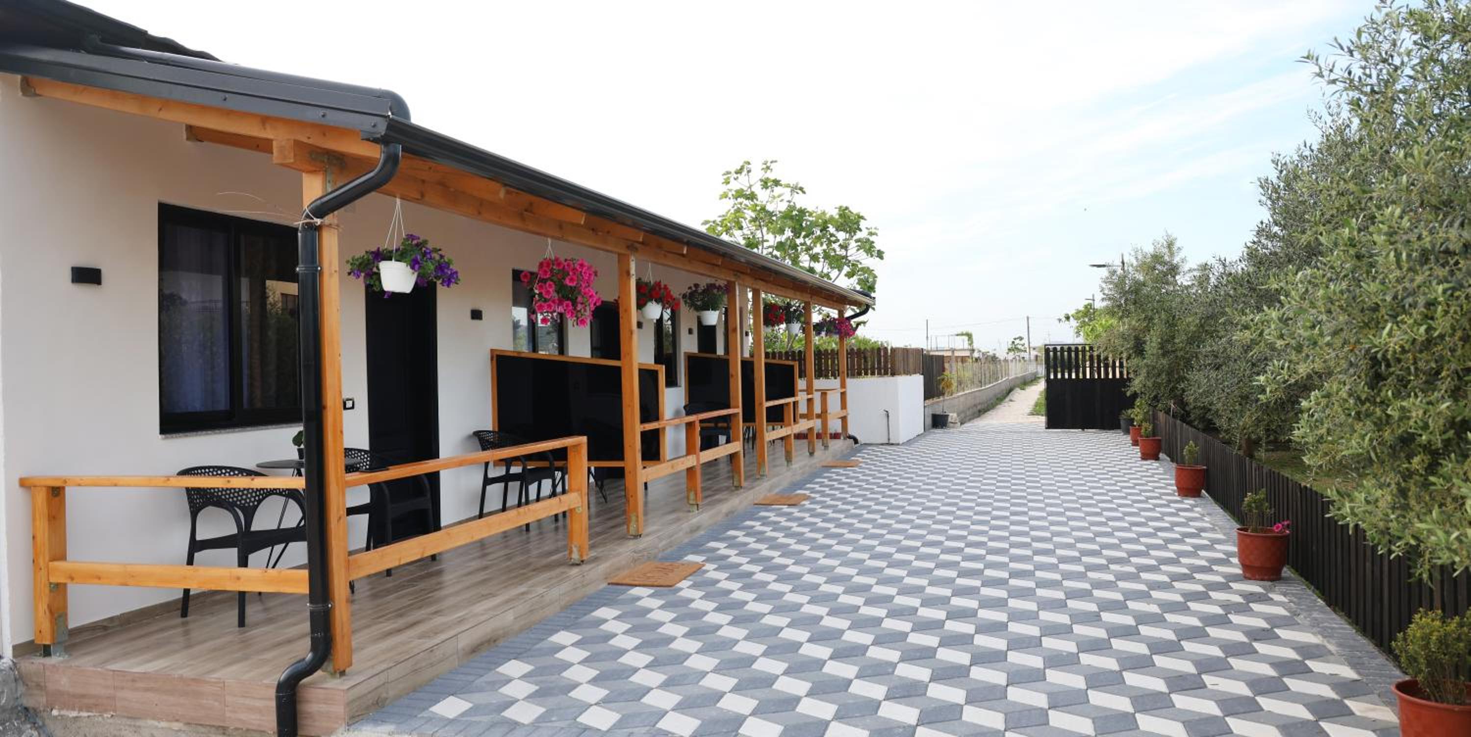 Olive Oasis Studio