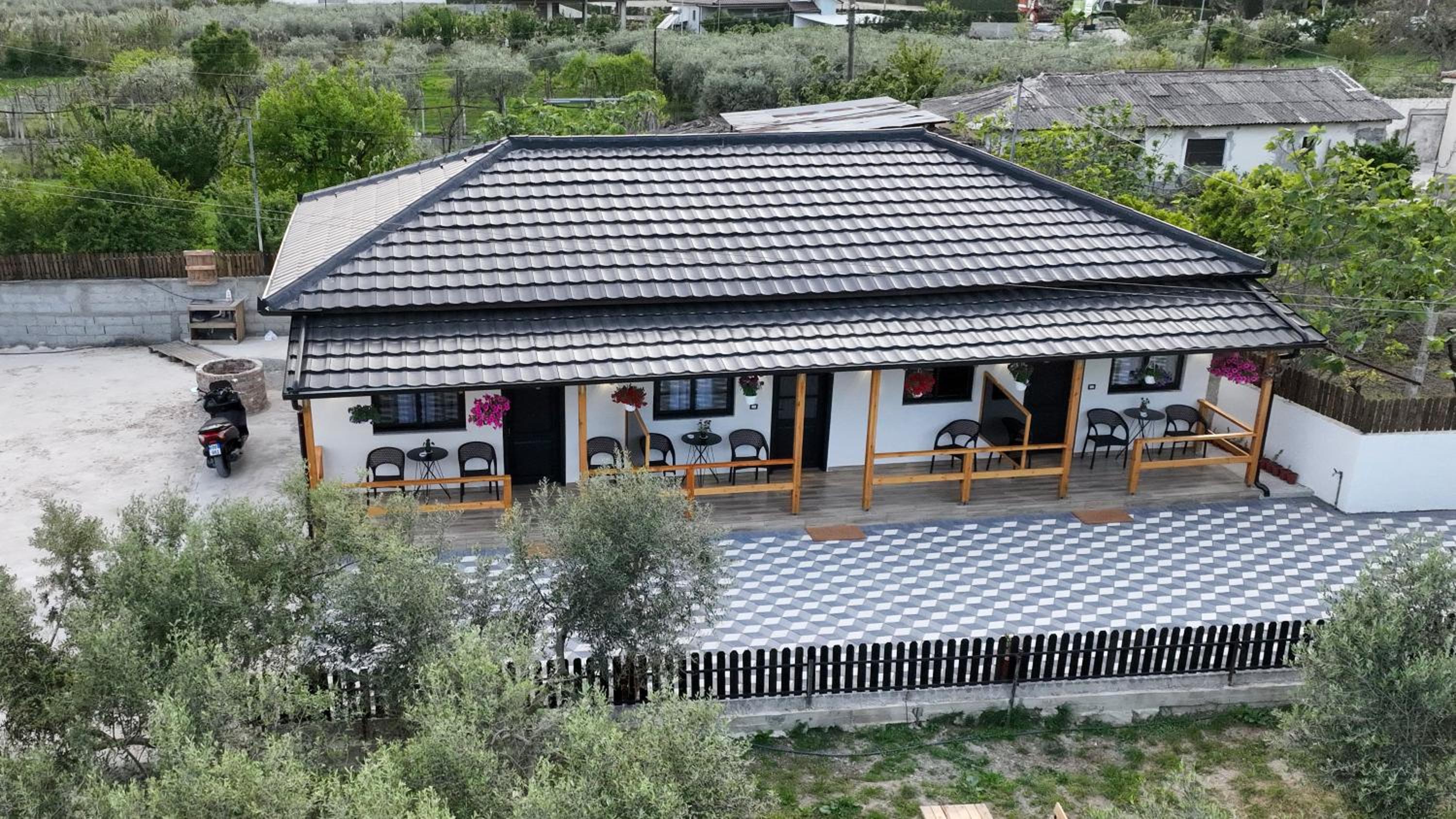 Olive Oasis Studio