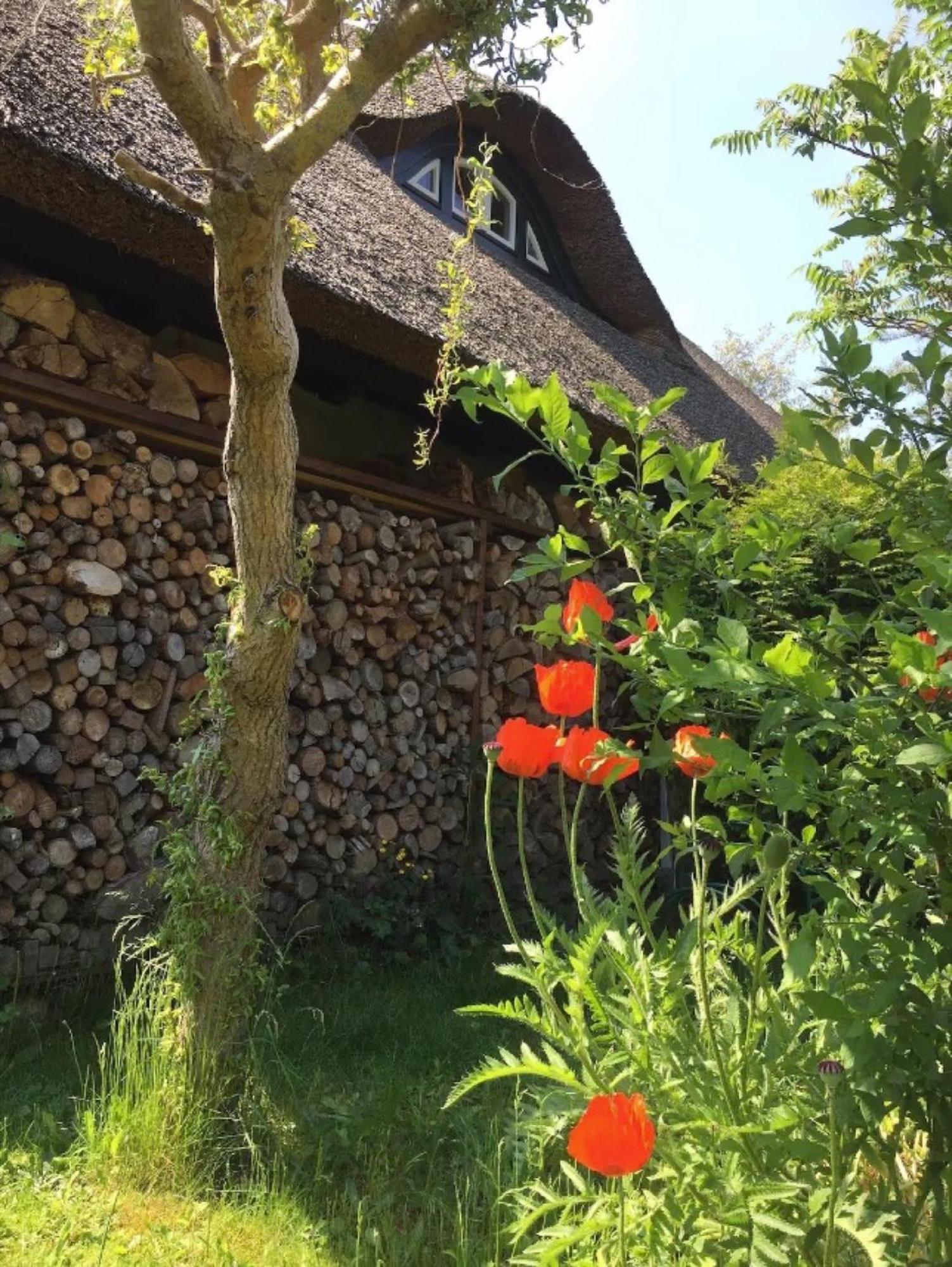 Koras Dachkammer