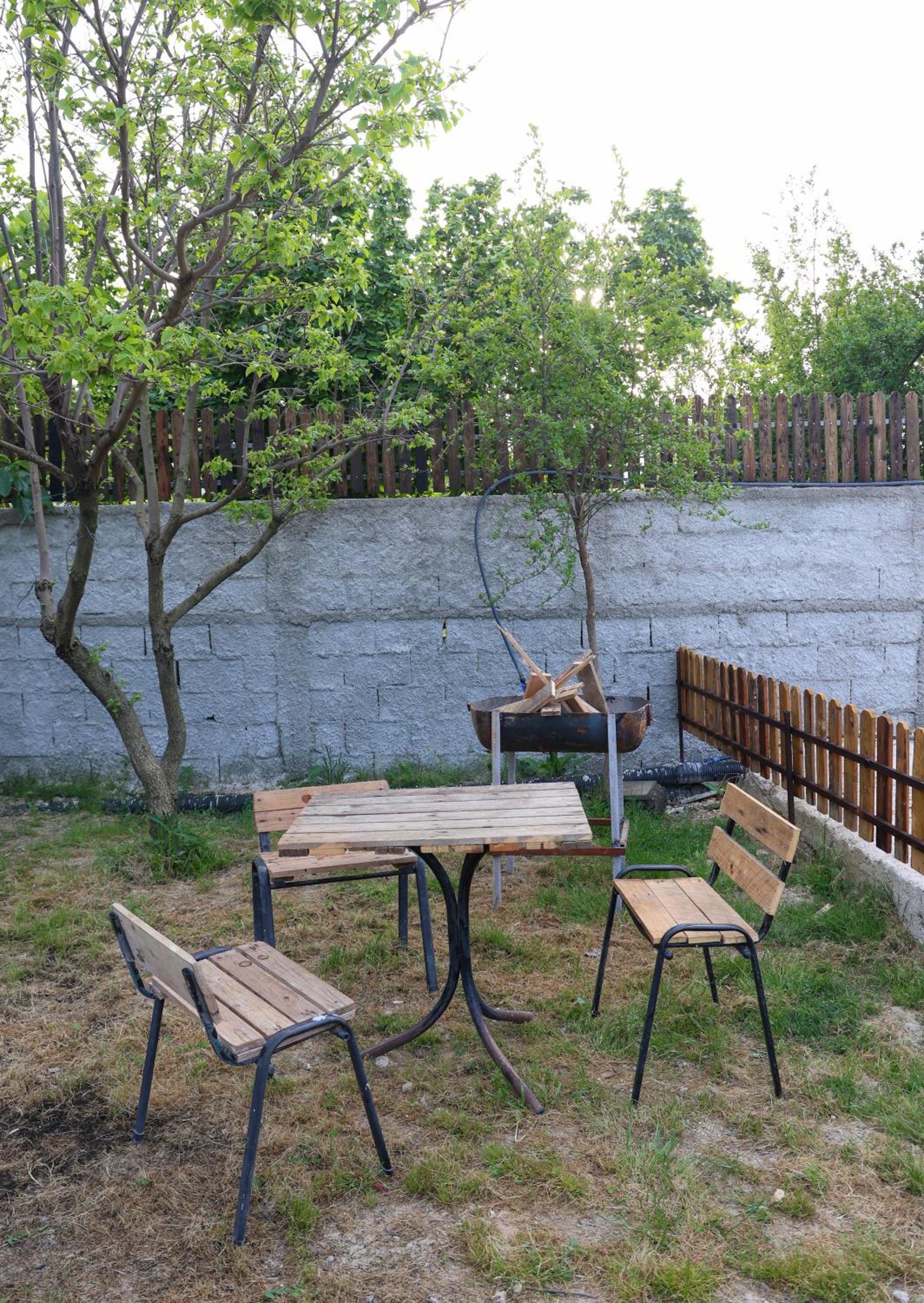 Olive Oasis Studio