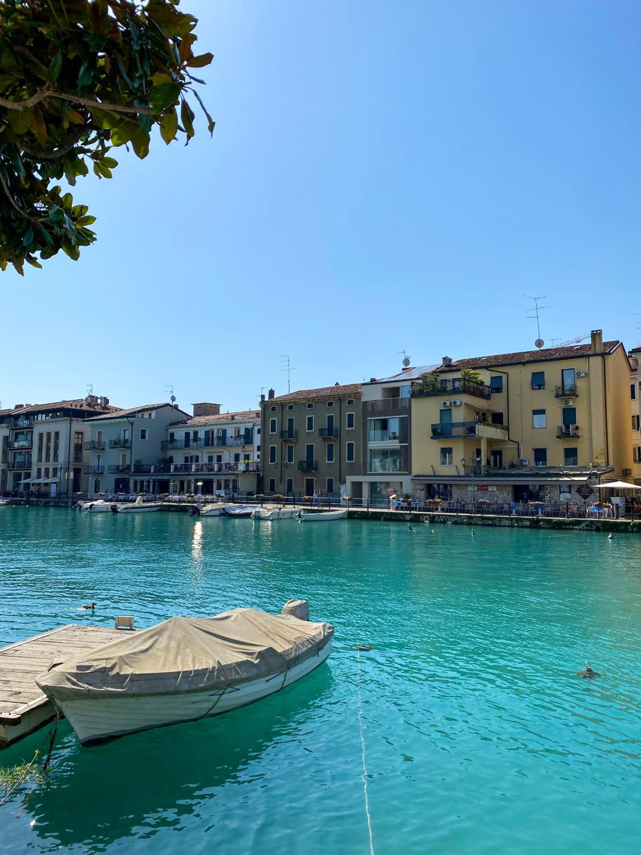 Palazzo Cordigero - Apartments