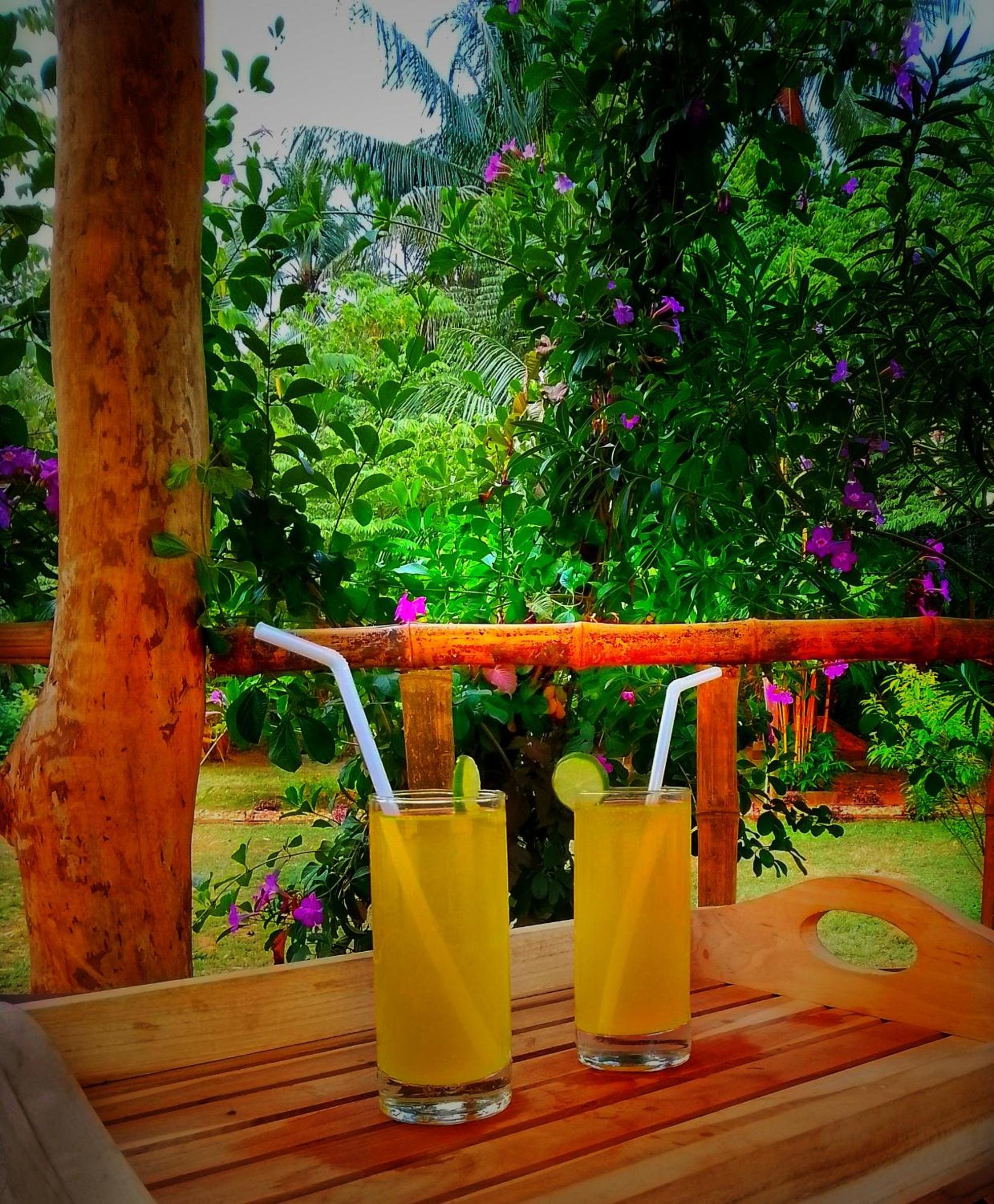 Banana Shade Cottage