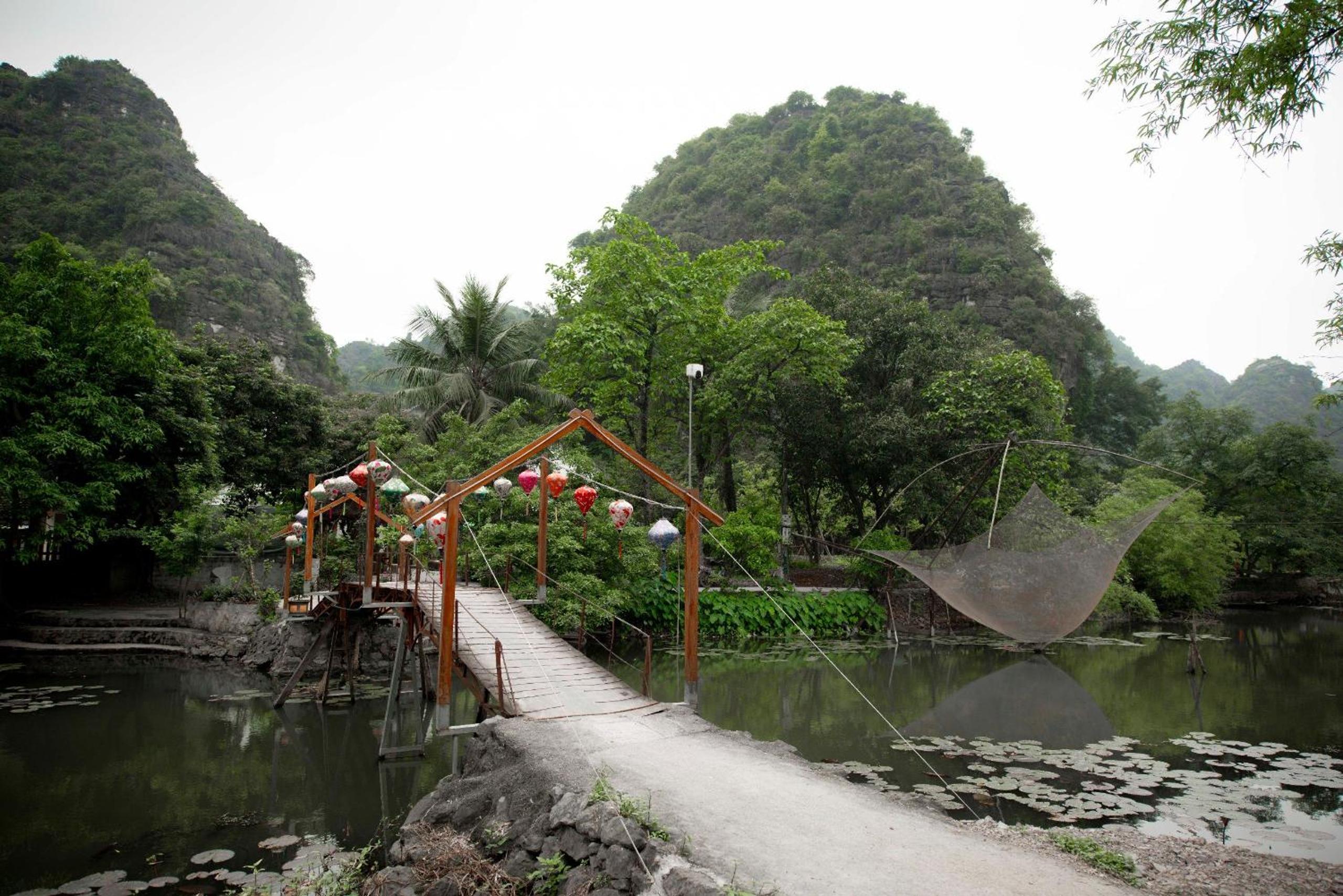 Photo 11