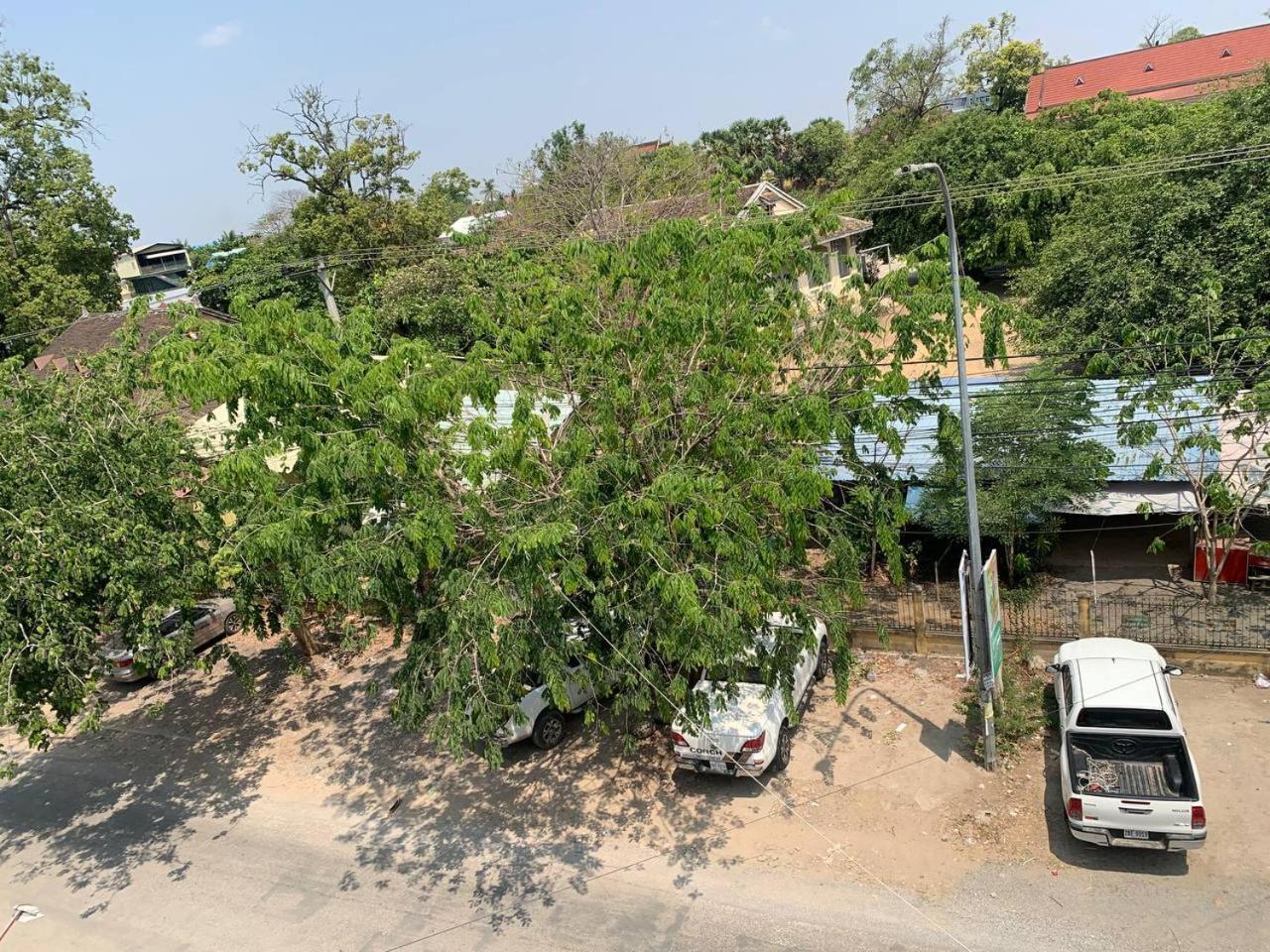 Ditar Guest House S