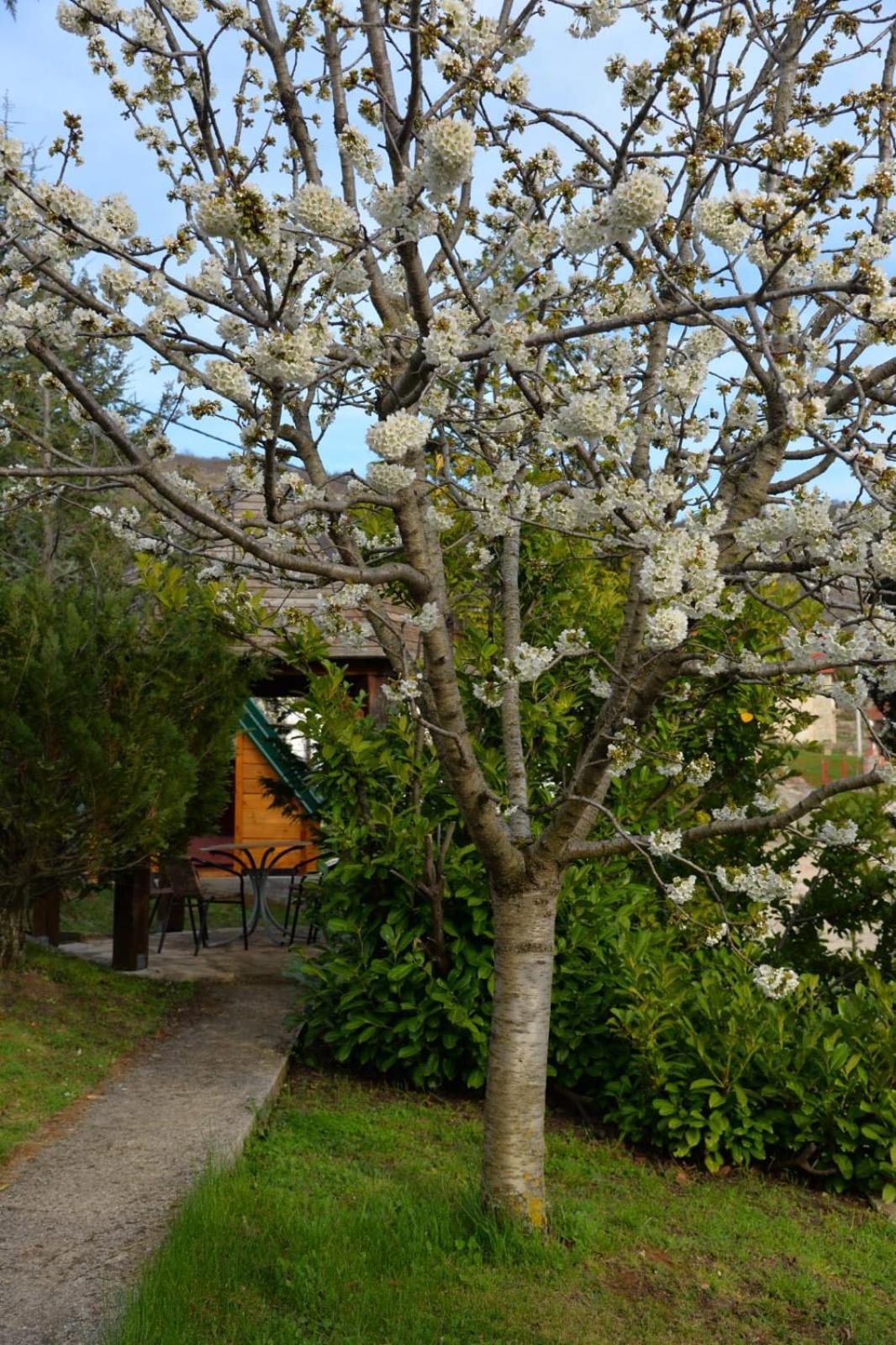 Seosko domaćinstvo STAREVINA