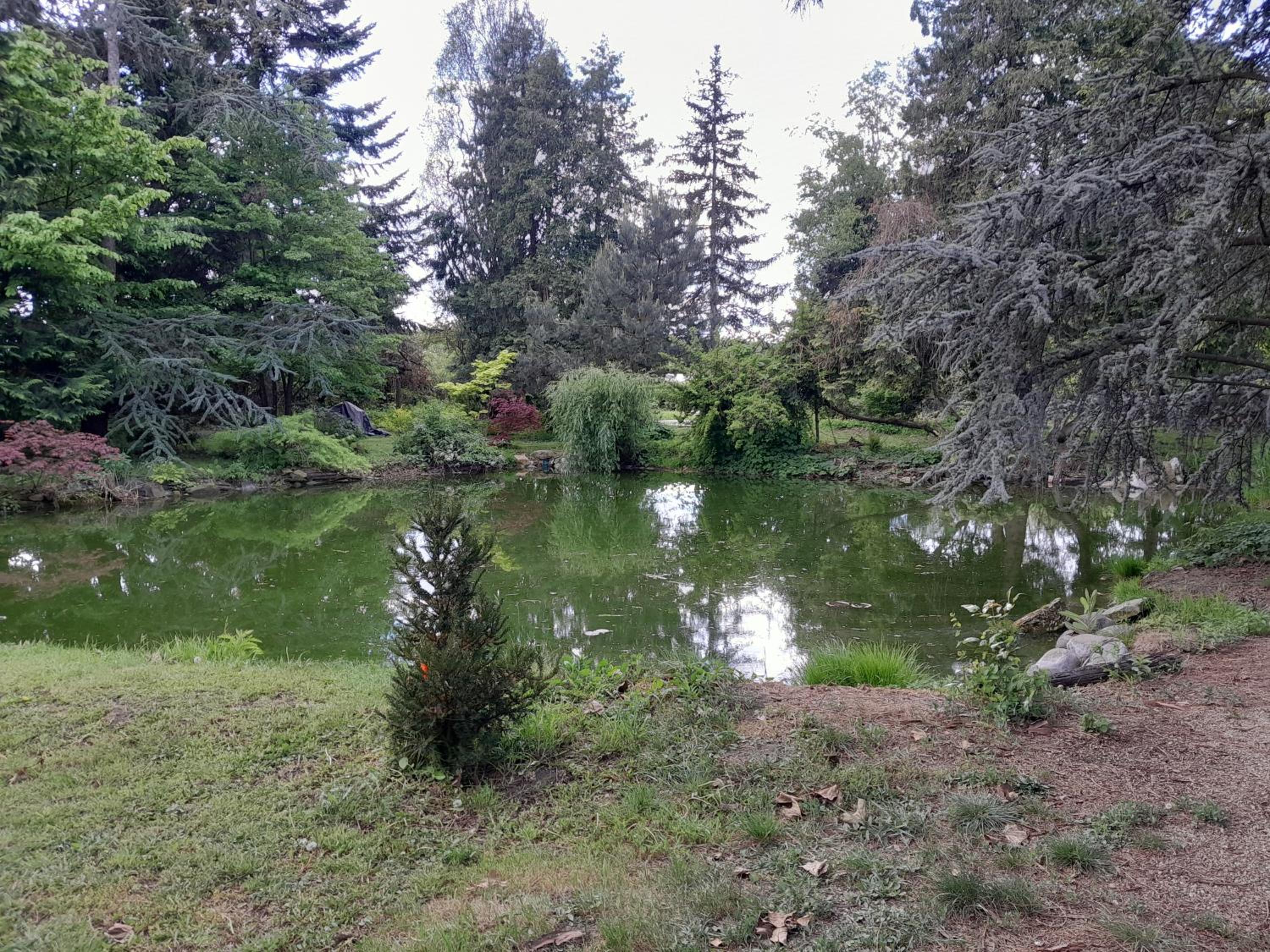 Photo 18