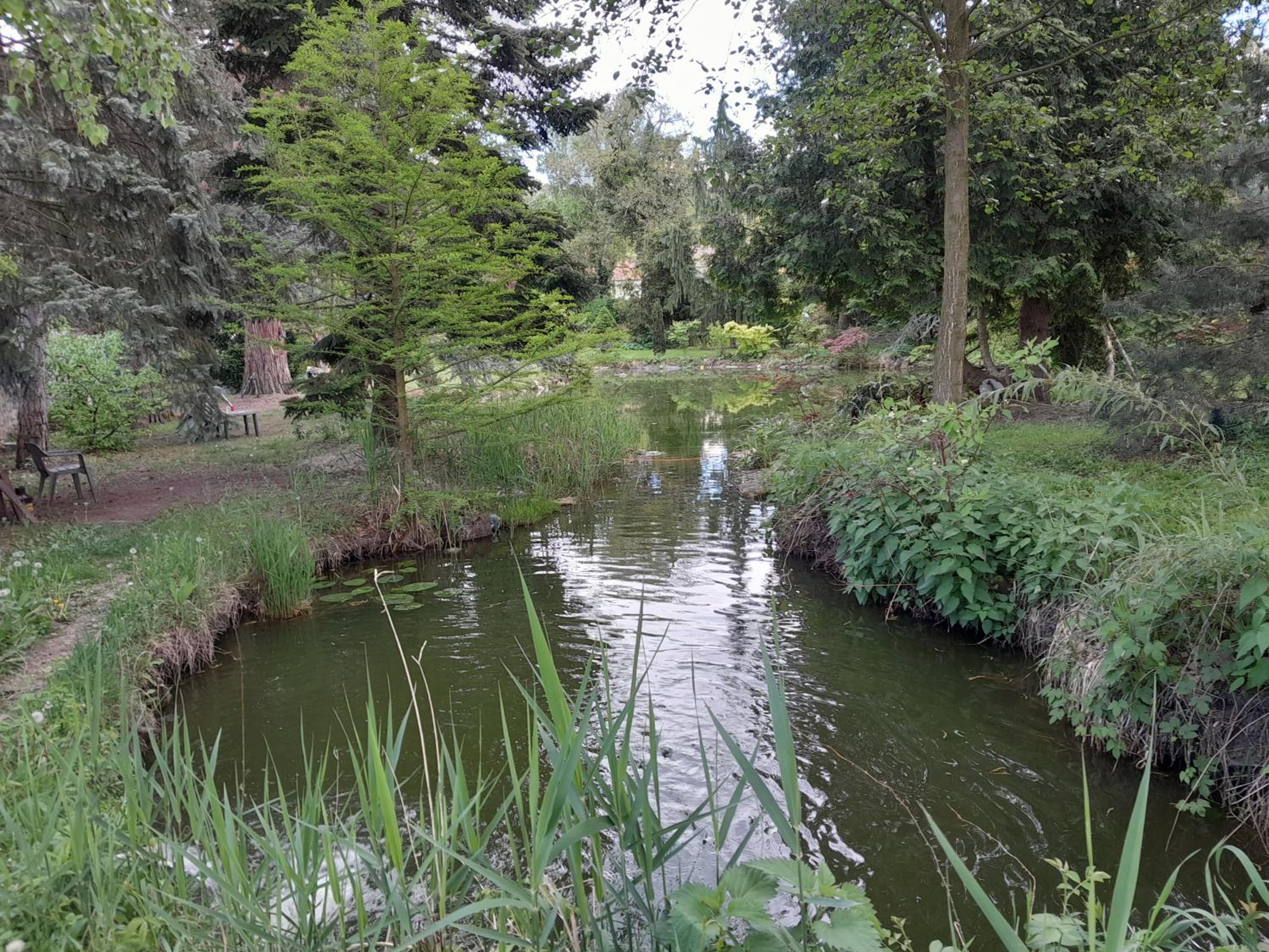 Photo 19