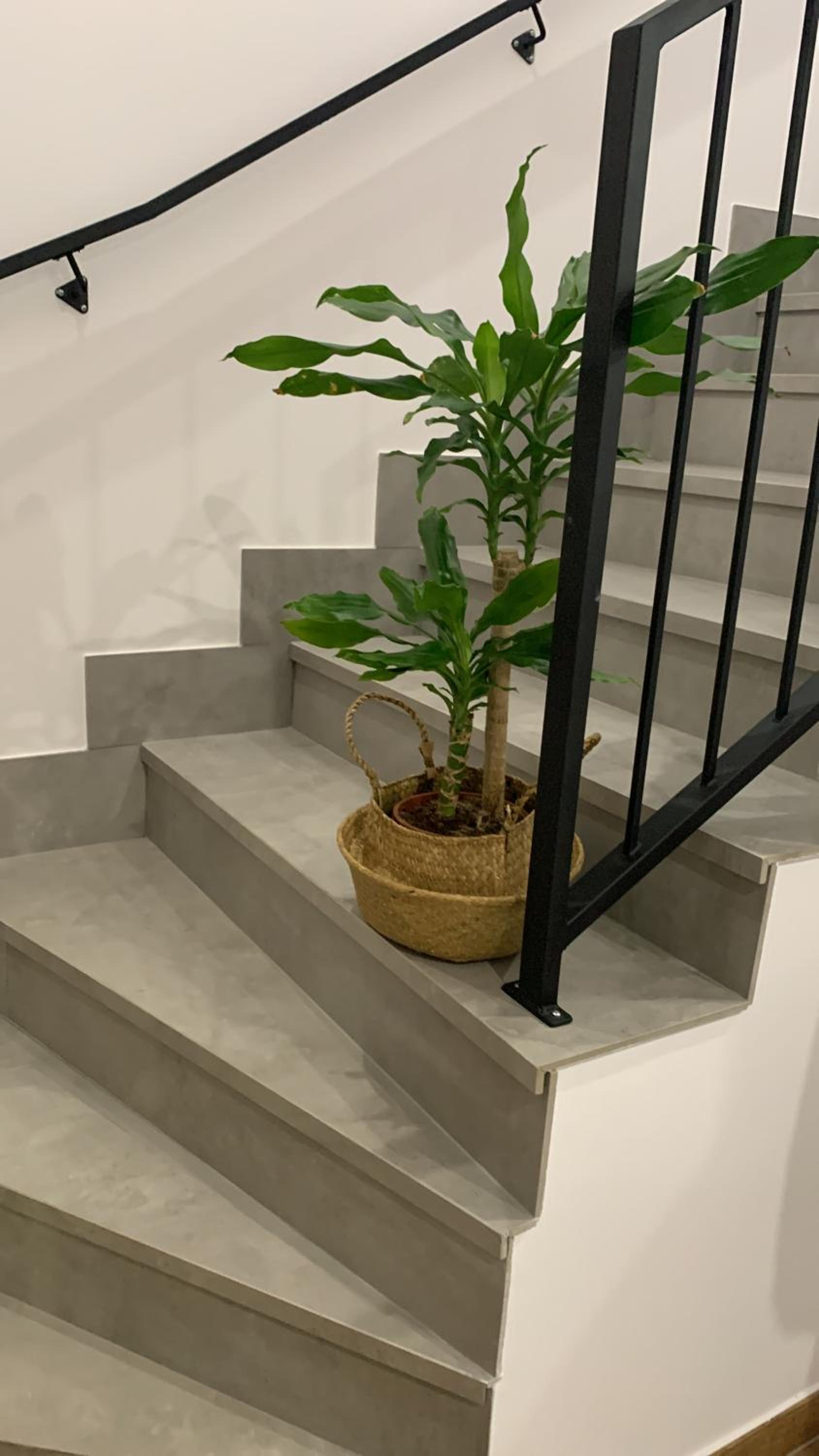 Apartamentos Lux Carrión