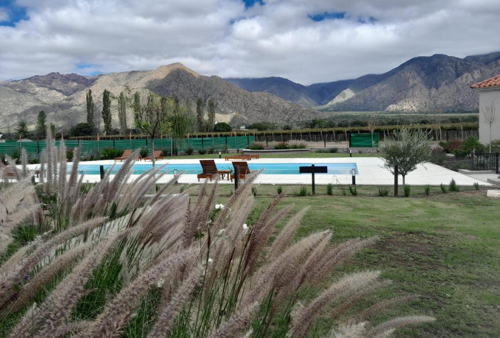 Cafayate Buenas Vides