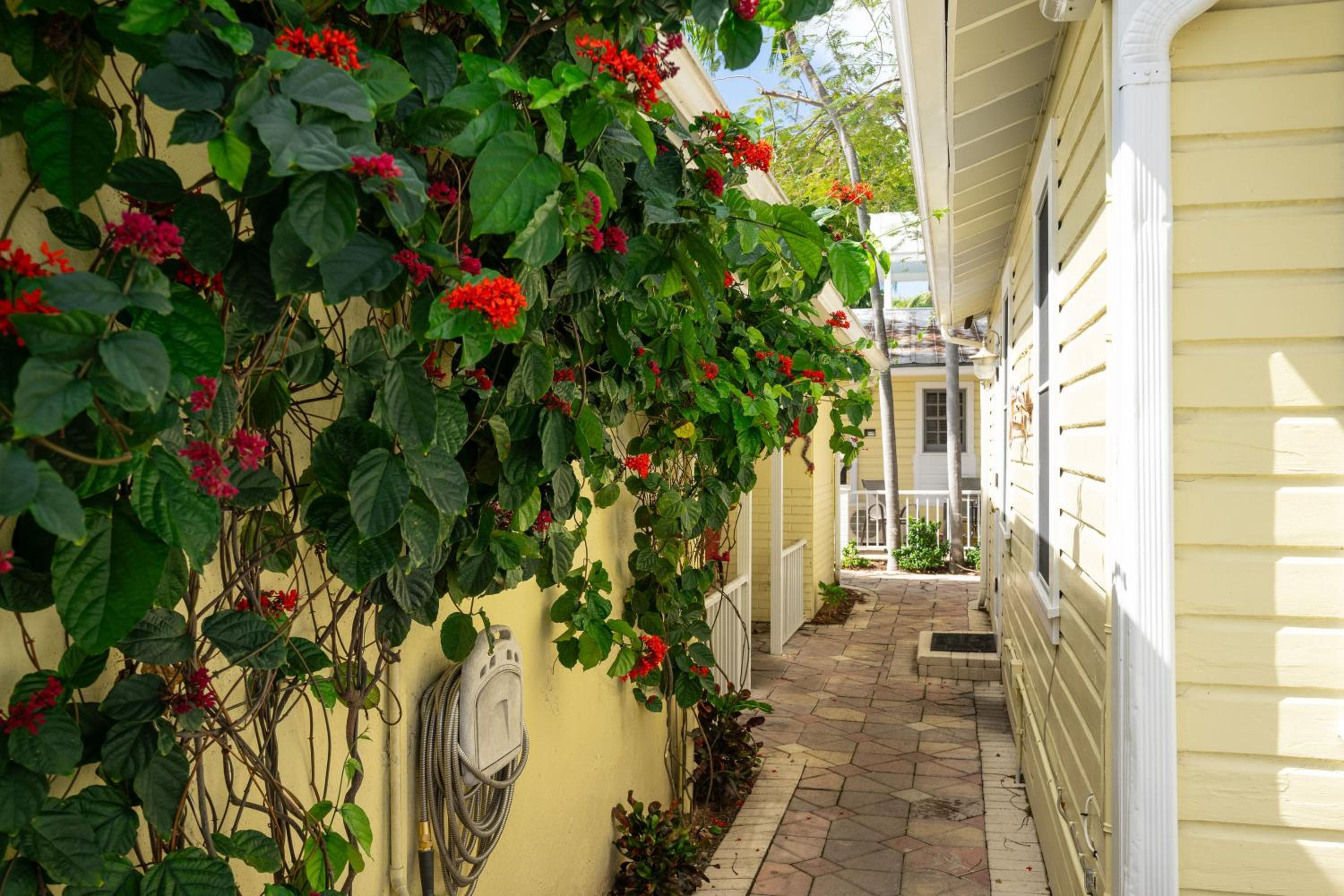 Sailors Cabin - Prime Downtown Key West Spot - Walk to Duval view 3