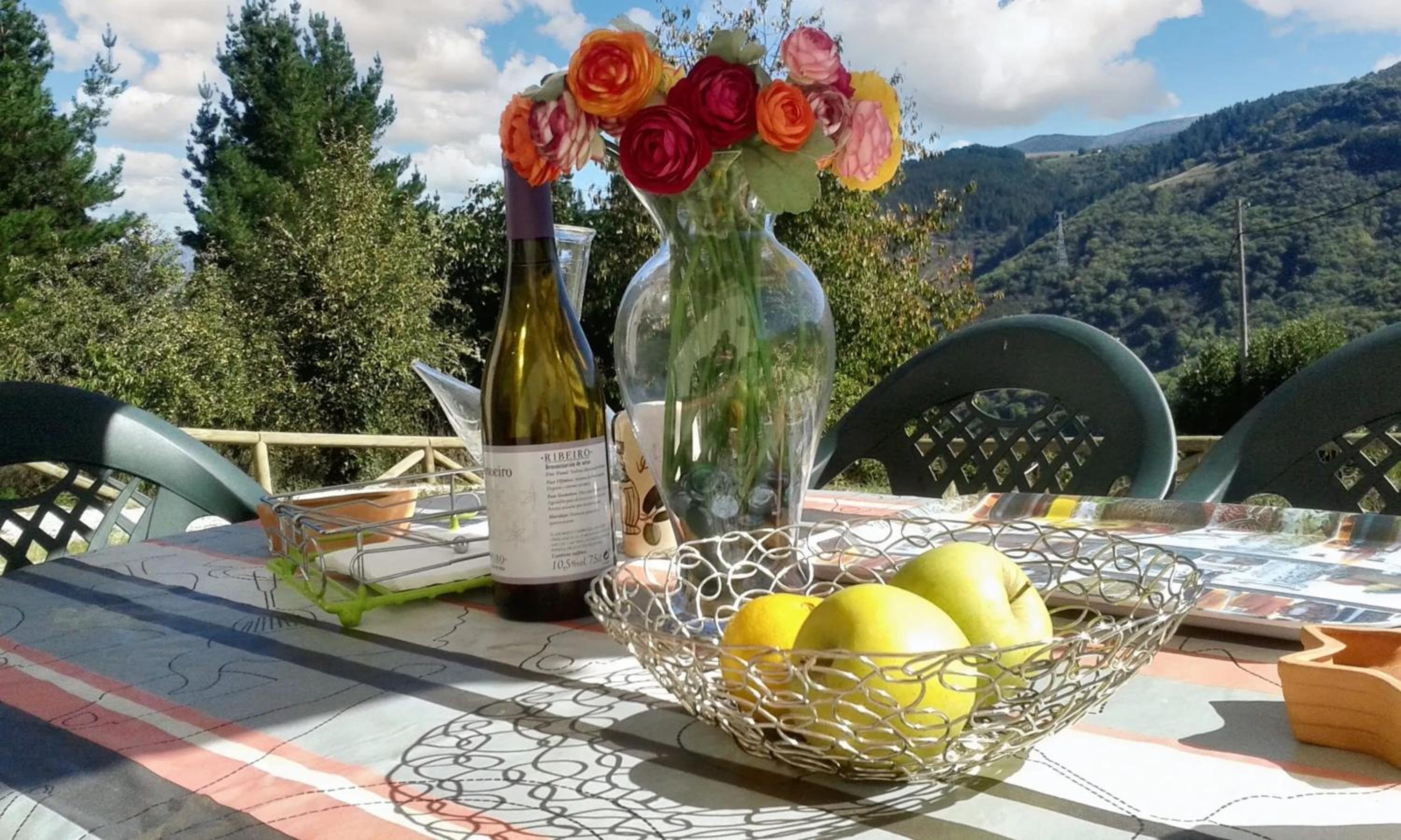 Cozy house in Grandas de Salime with mountain view