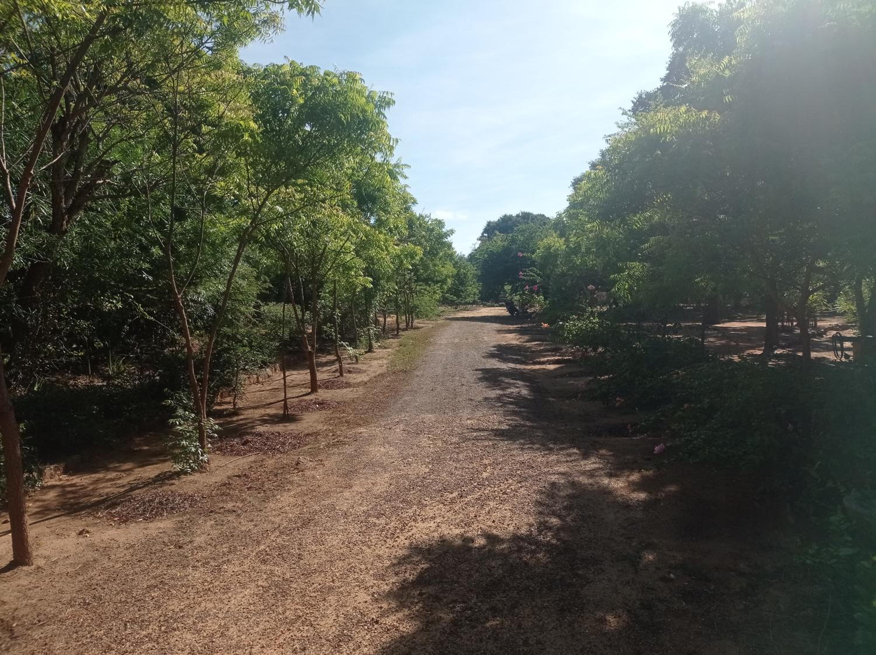 Bundala Resort