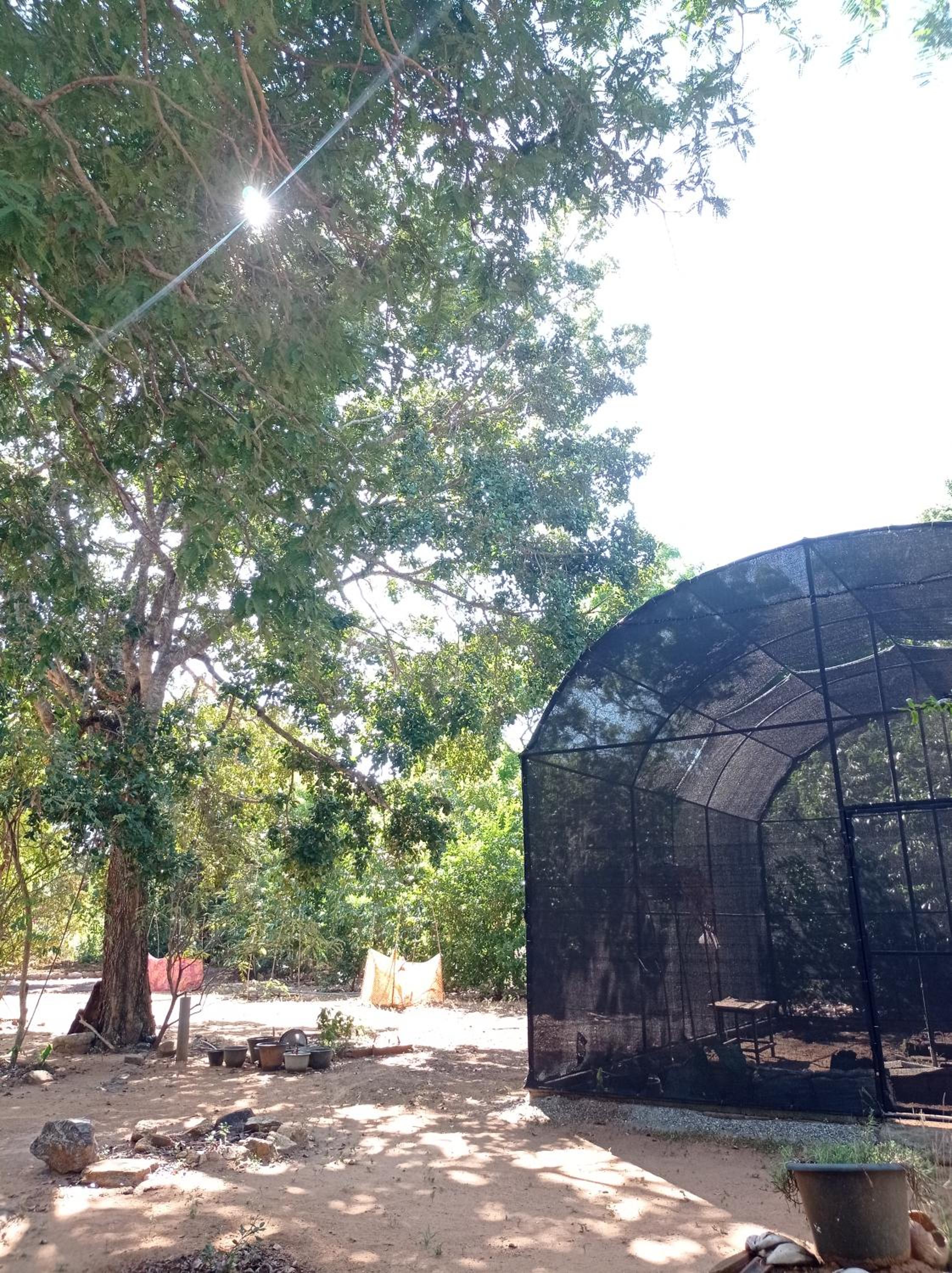 Bundala Resort